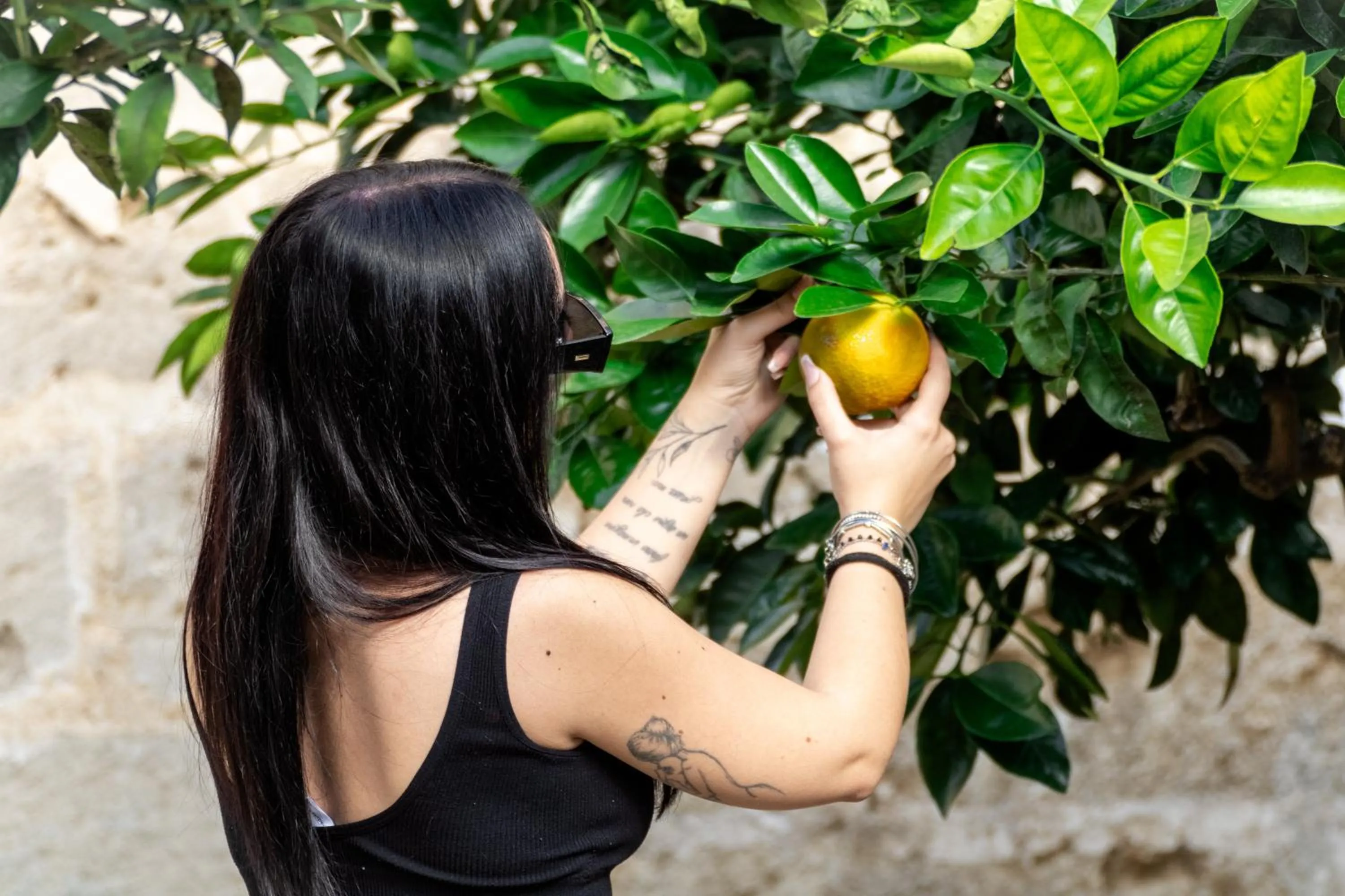 Garden in Corte Mercurio B&B