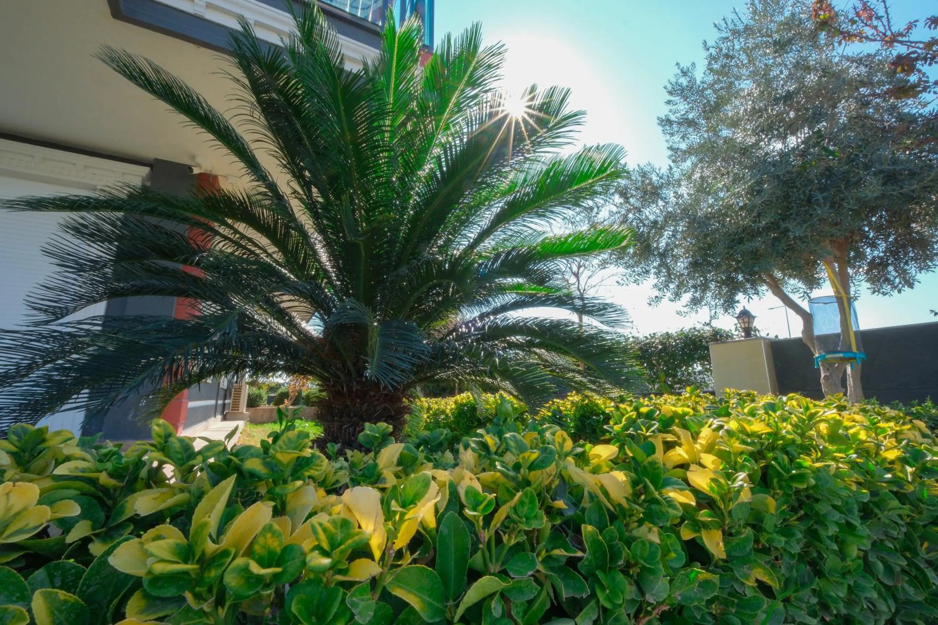 Avullar Palace Hotel