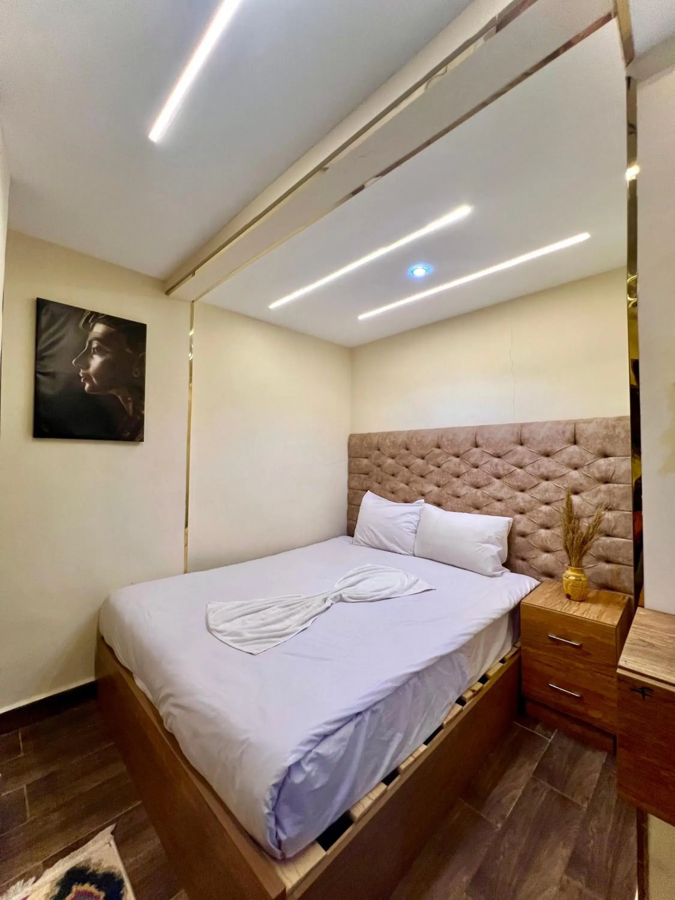 Deluxe Double Room - single occupancy in Farsha Pyramids Inn Deluxe Double Room - single occupancy in Farsha Pyramids Inn