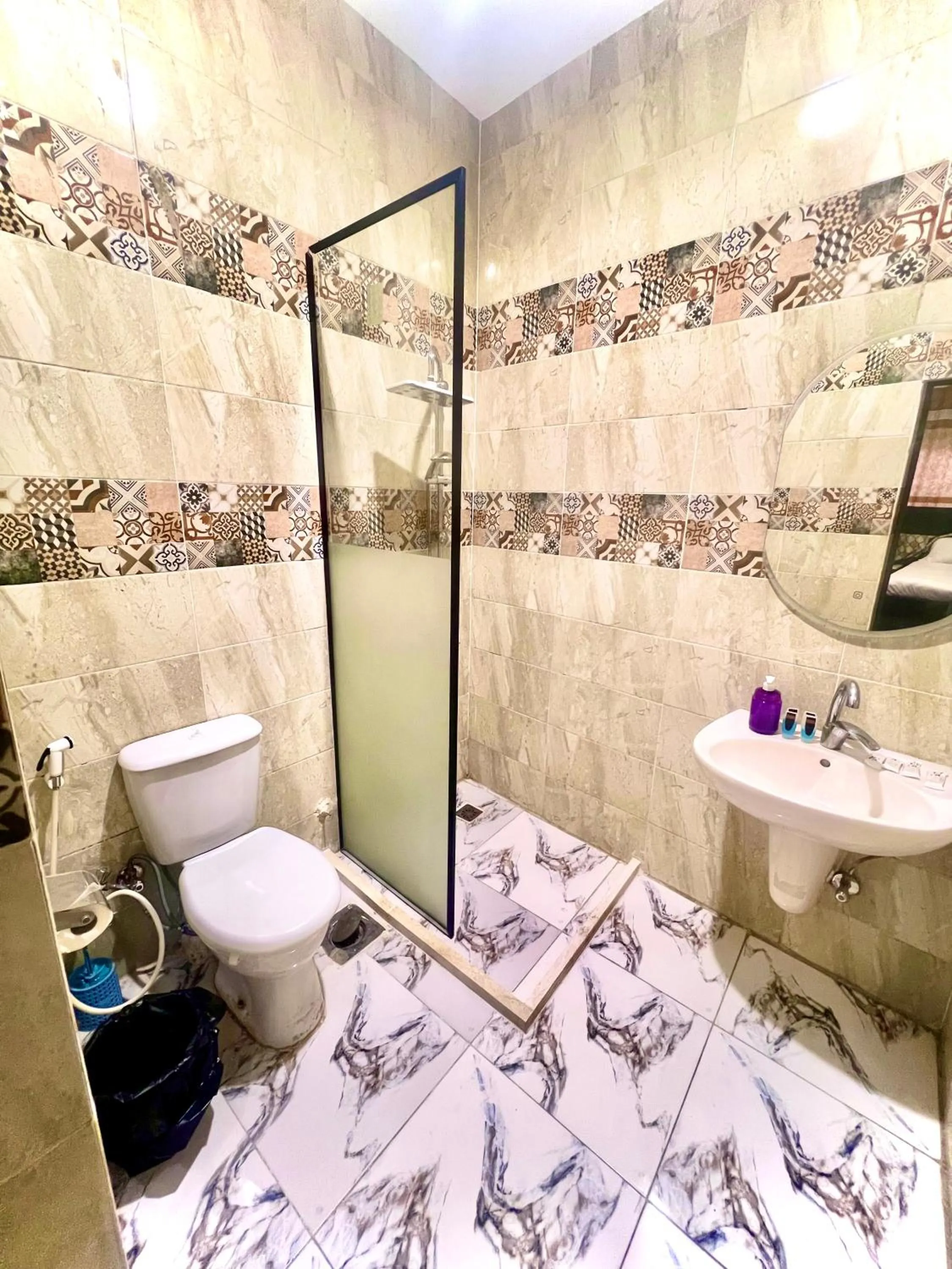 Toilet in Farsha Pyramids Inn