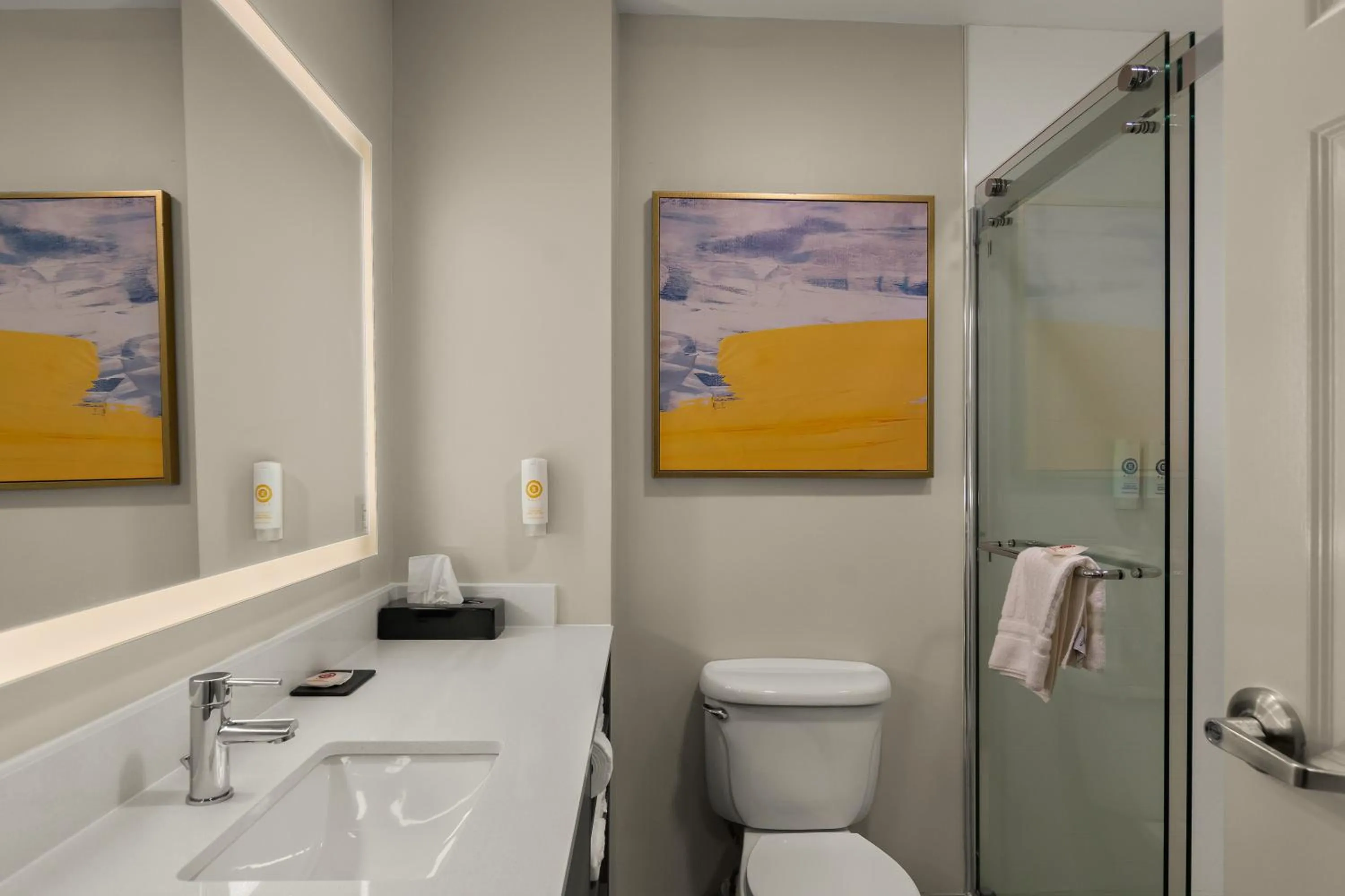 Shower in Comfort Inn & Suites Ashland - Richmond North