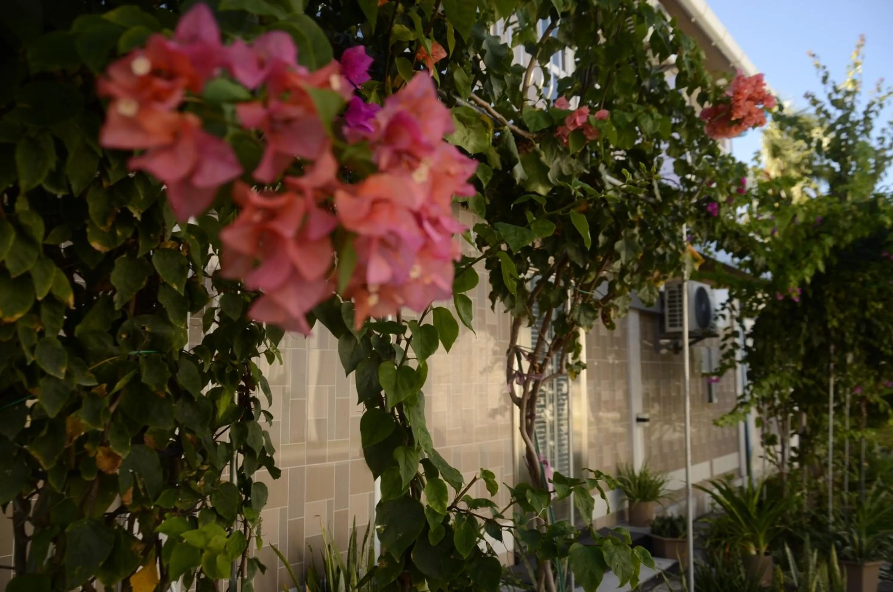 Isle inn {Fuvahmulah)