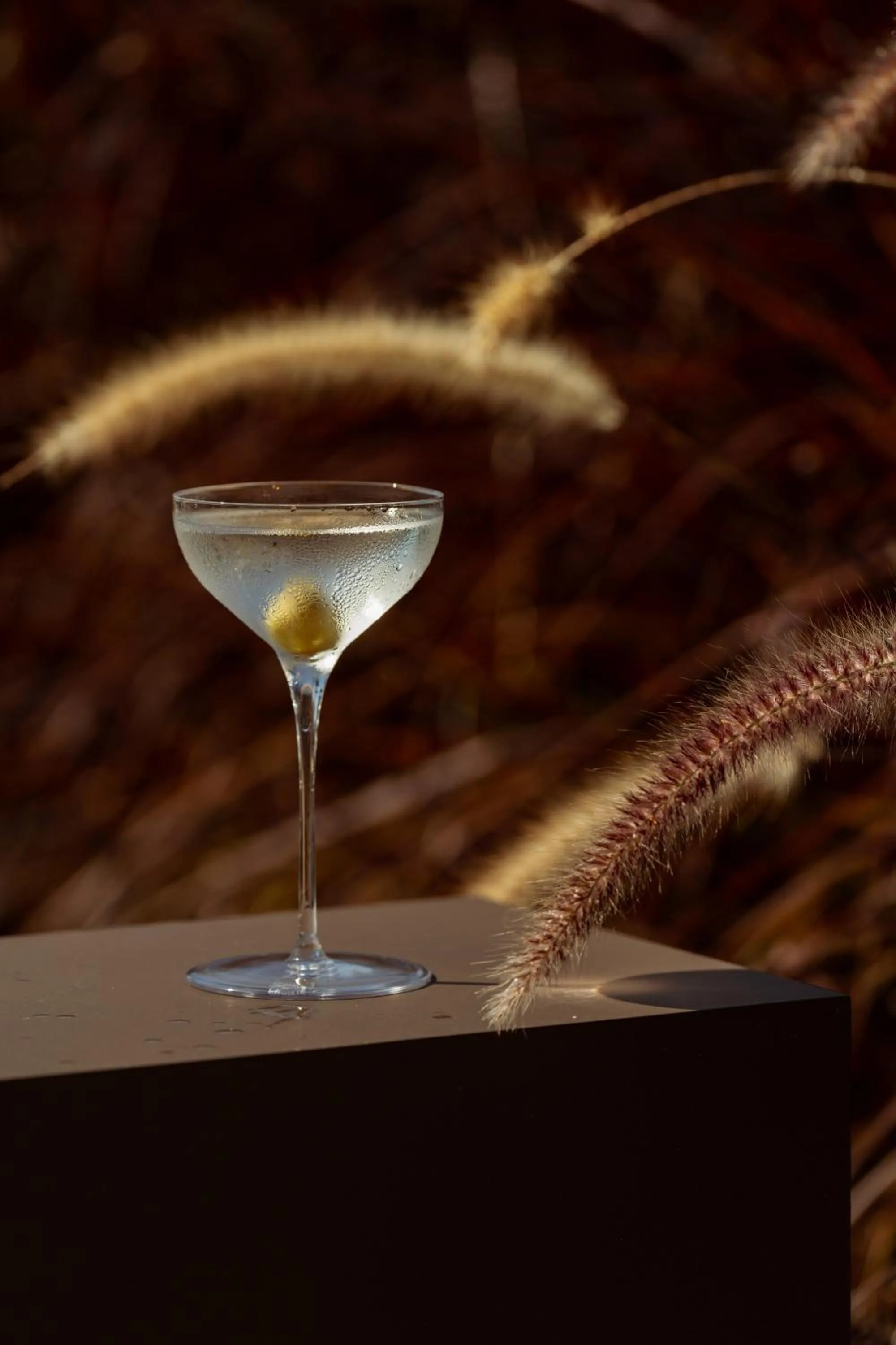 Lounge or bar in The Ritual, A Wellness Retreat