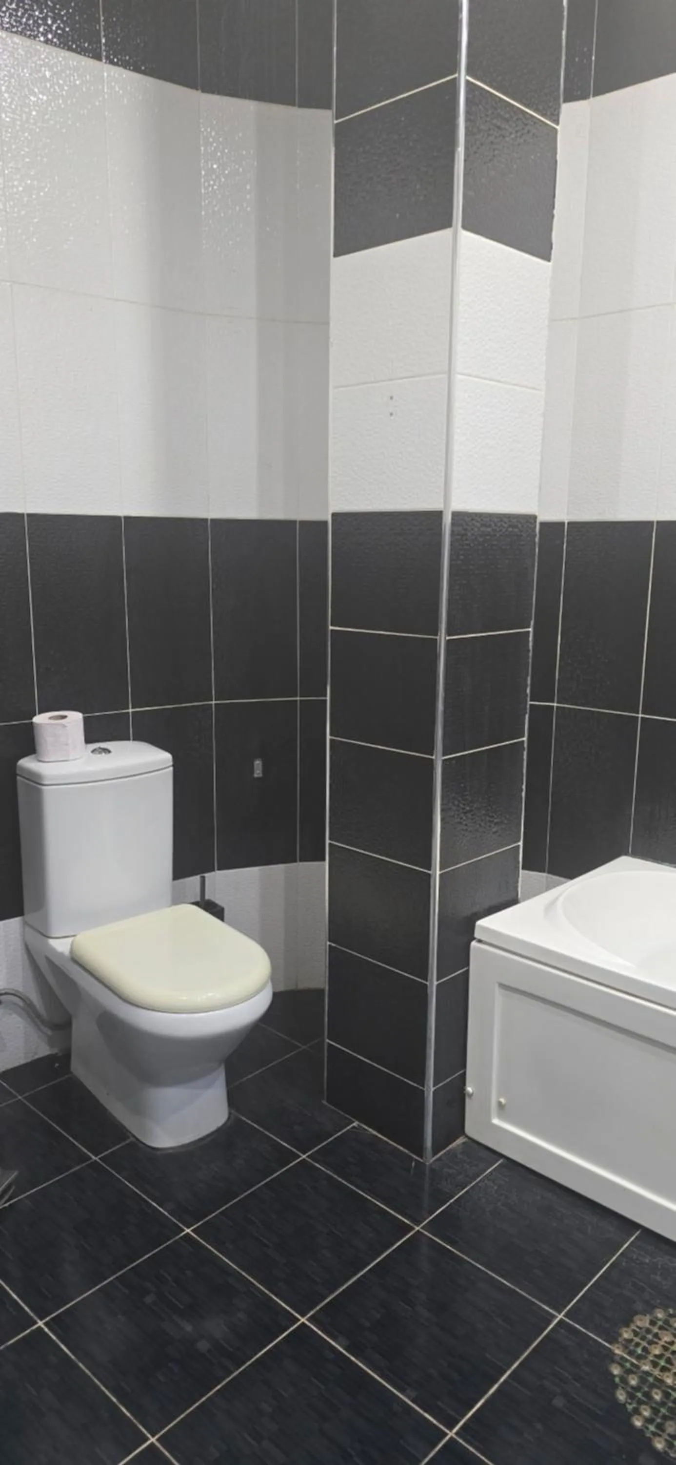 Toilet in Sanapiro +