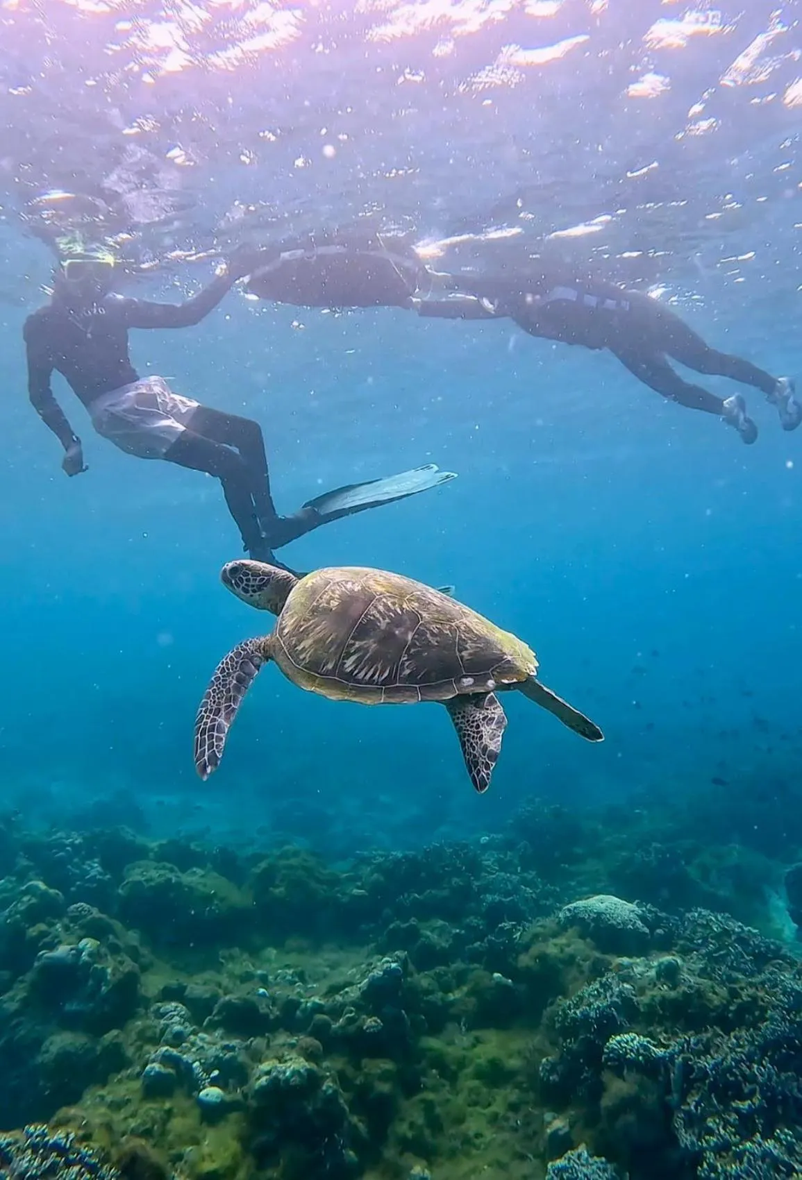 Activities in East Holiday Resort Moalboal