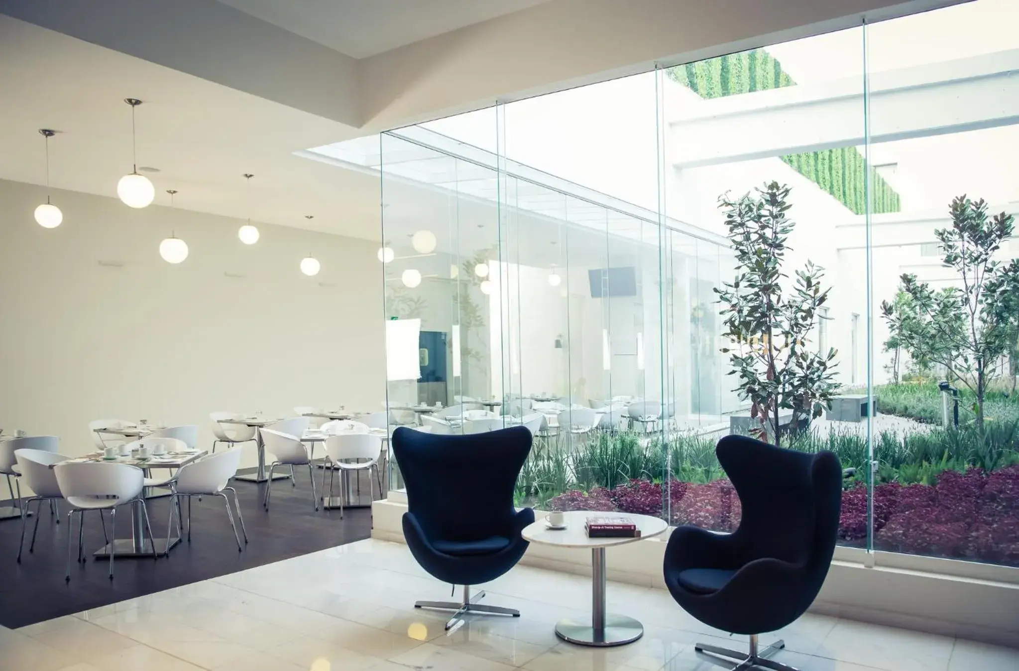 Restaurant/places to eat in Fiesta Inn Plaza Central Aeropuerto Restaurant/places to eat in Fiesta Inn Plaza Central Aeropuerto