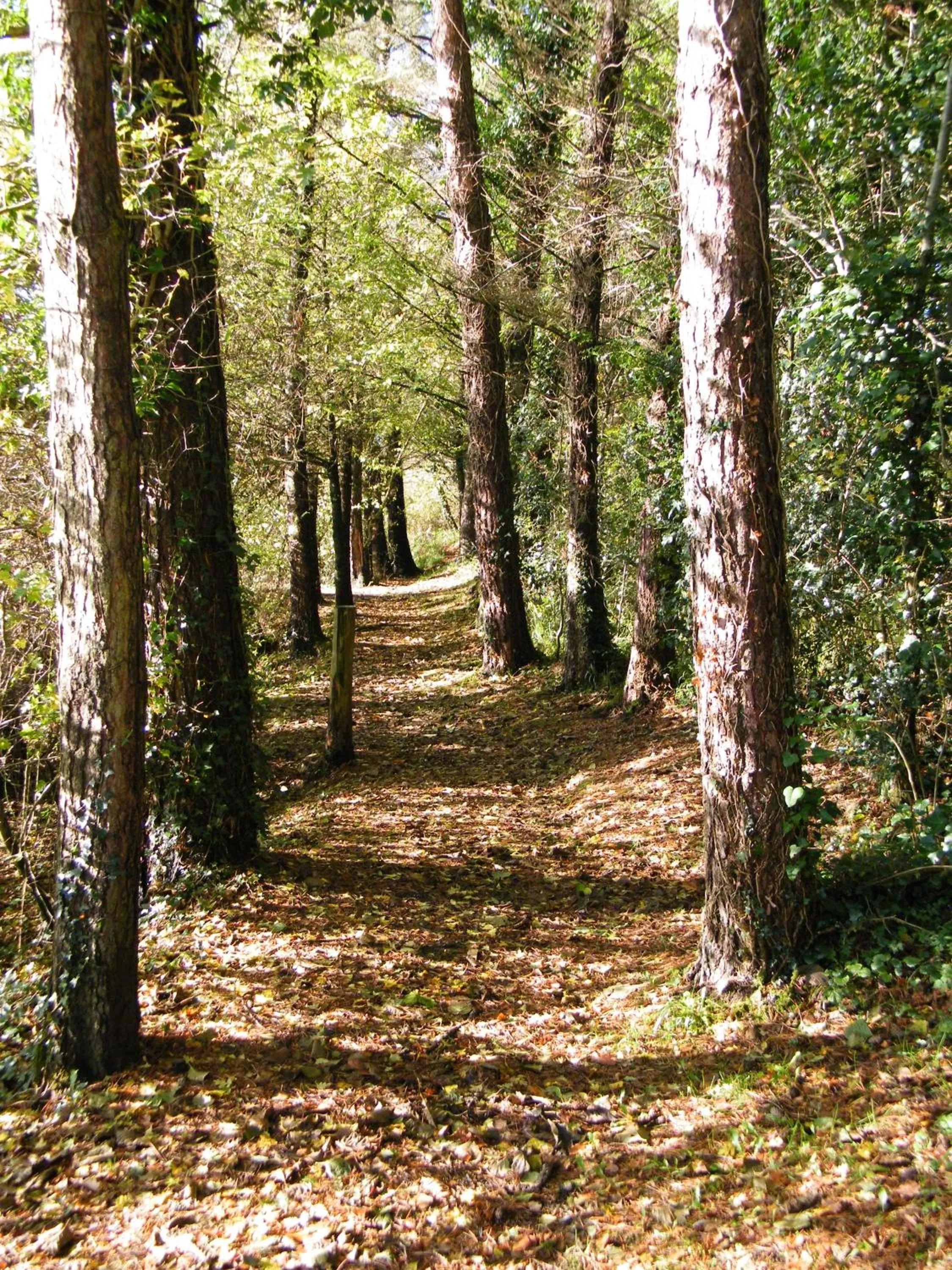 Corrigans Shore House