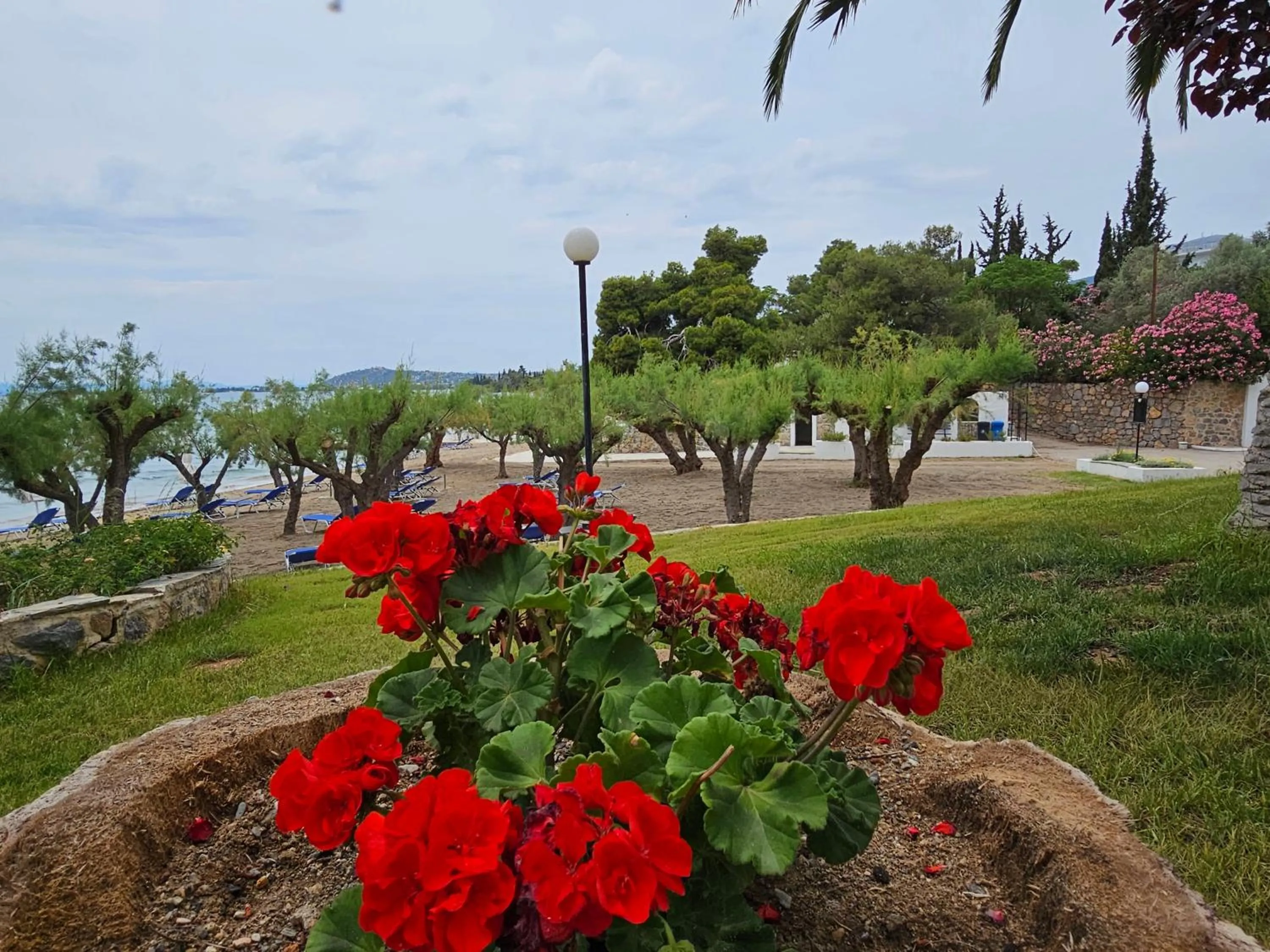 Garden in O Paradise beach Resort and Spa