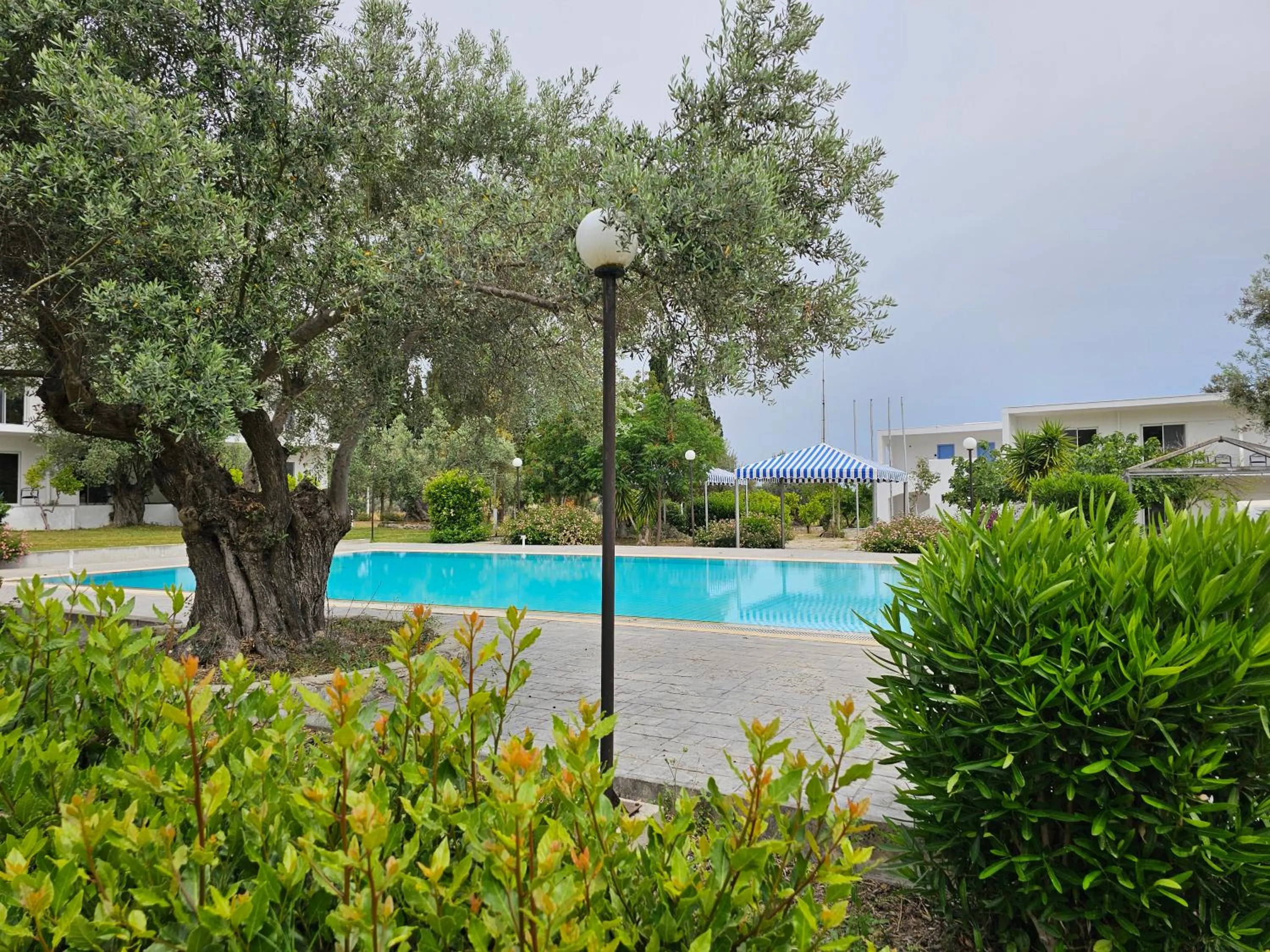 Swimming pool in O Paradise beach Resort and Spa