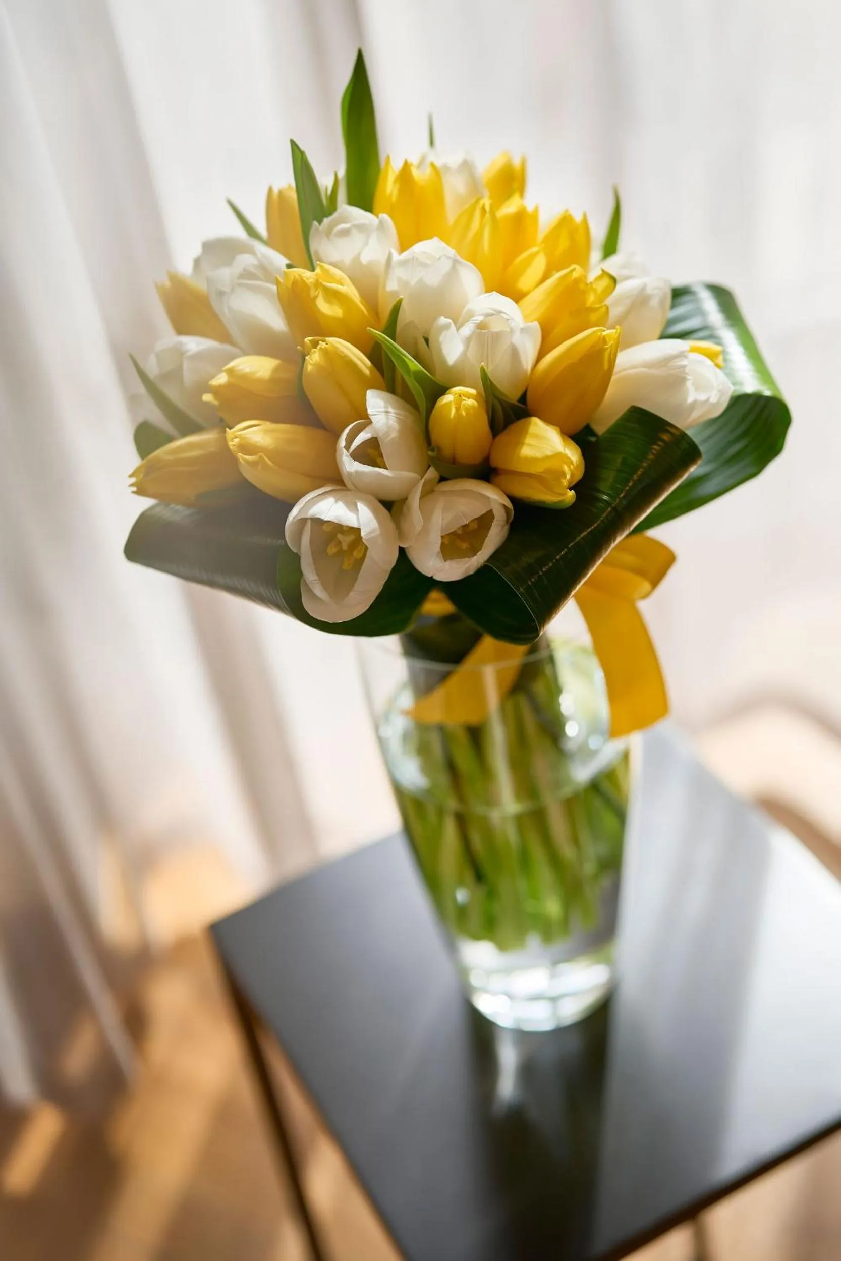 VIP in URBANAUTS BELETAGES Sonata