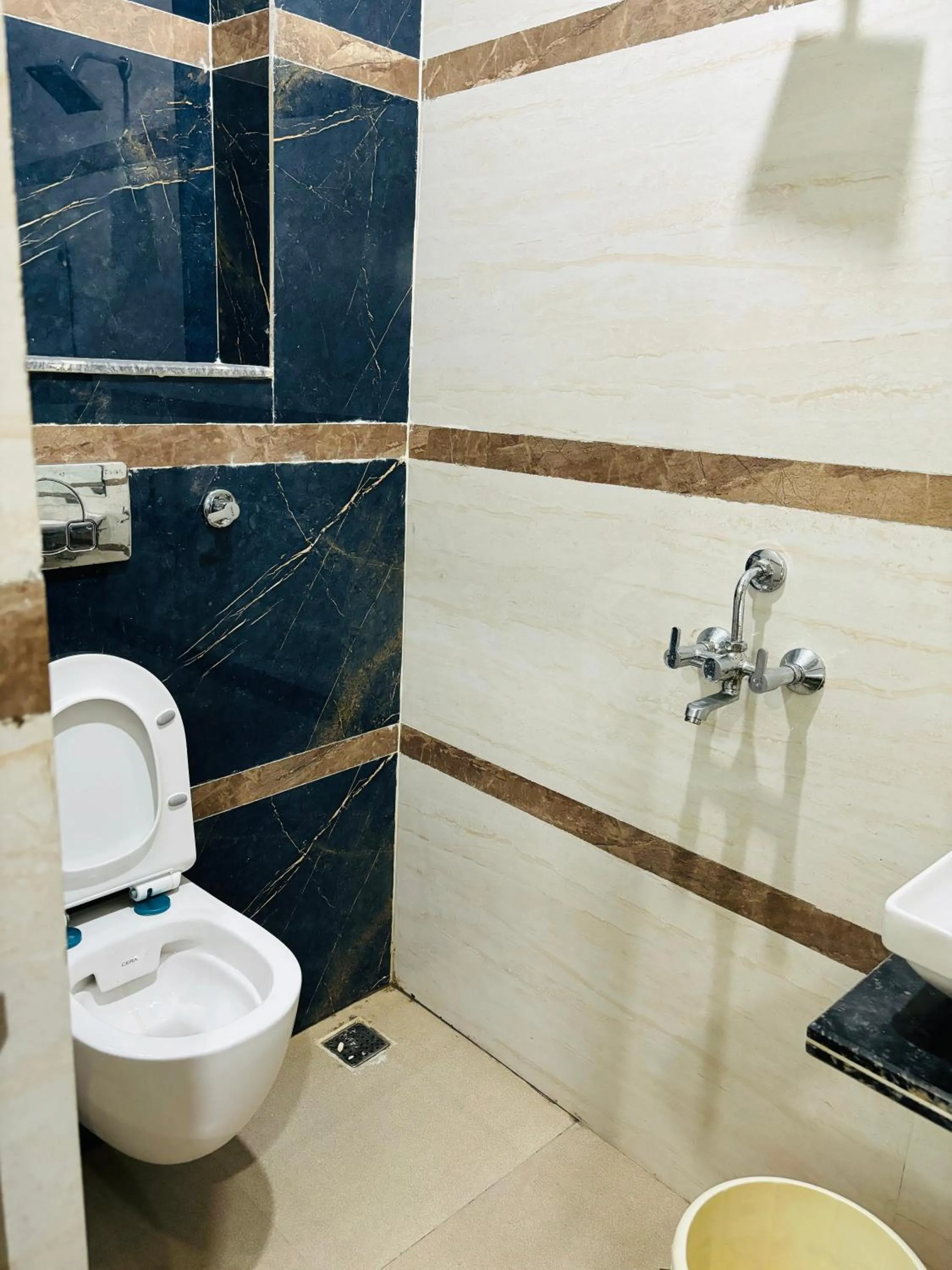 Toilet in Saraswati Dhaam