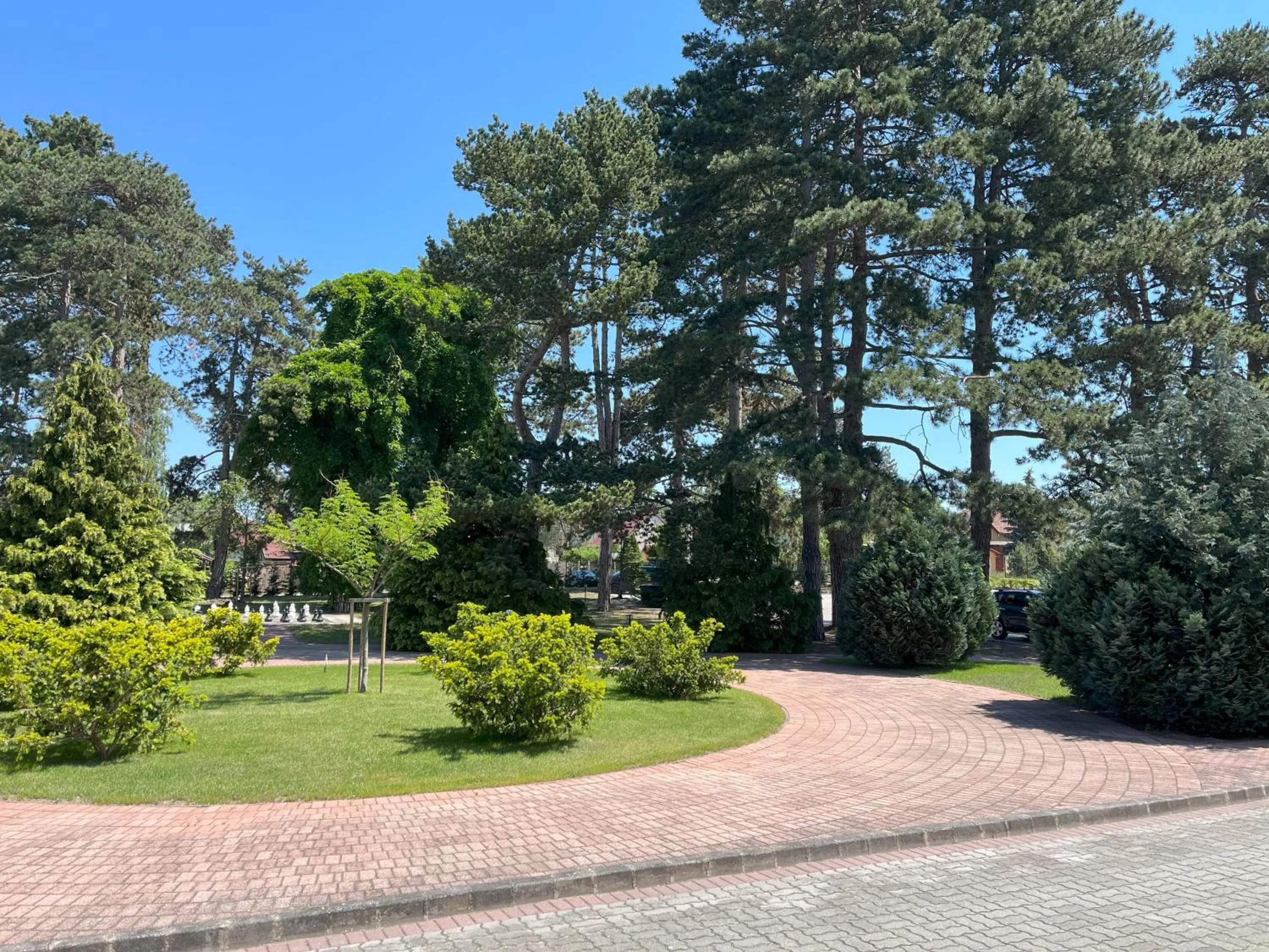 Garden in Hotel Golden Palace