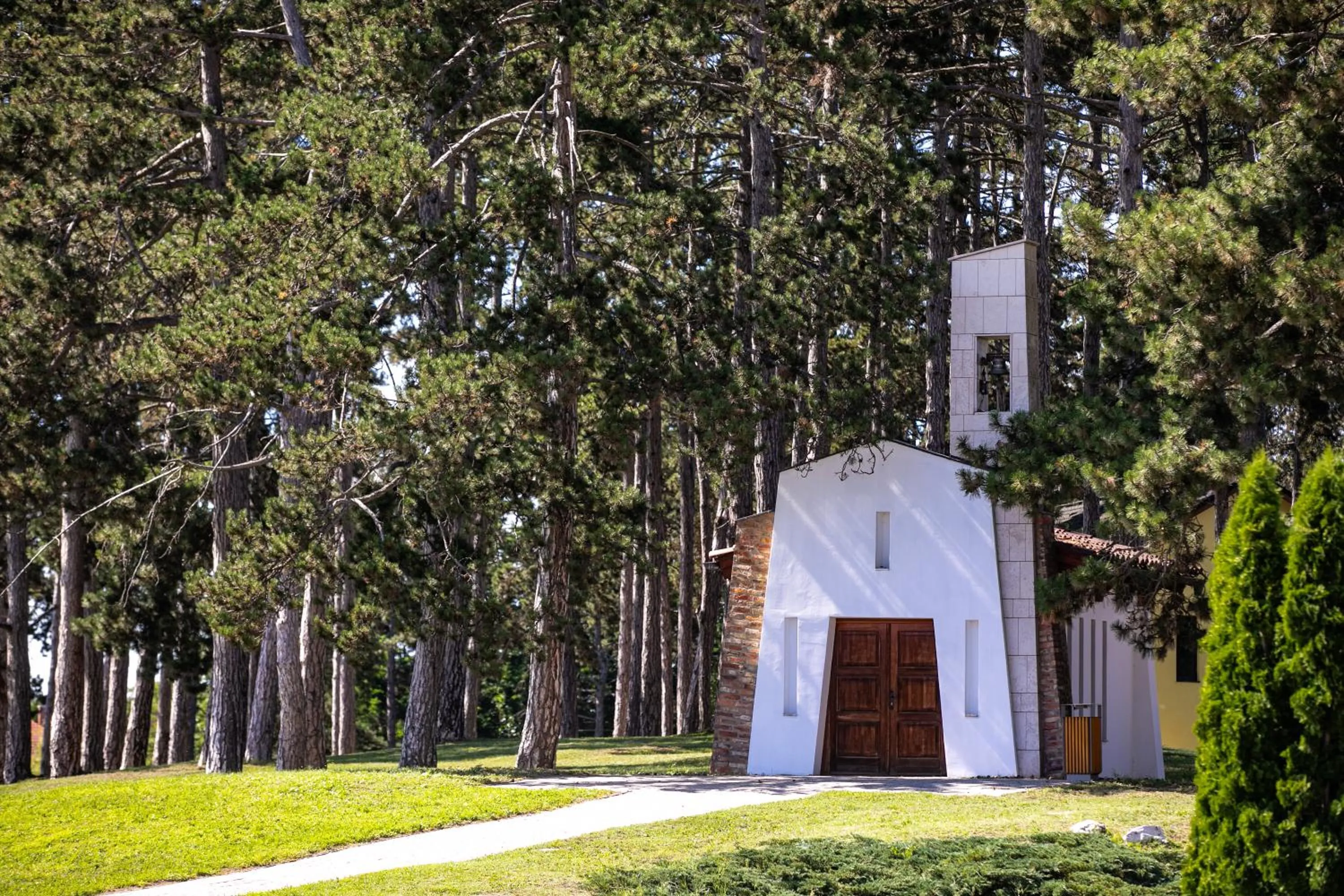 Garden in Hotel Golden Palace