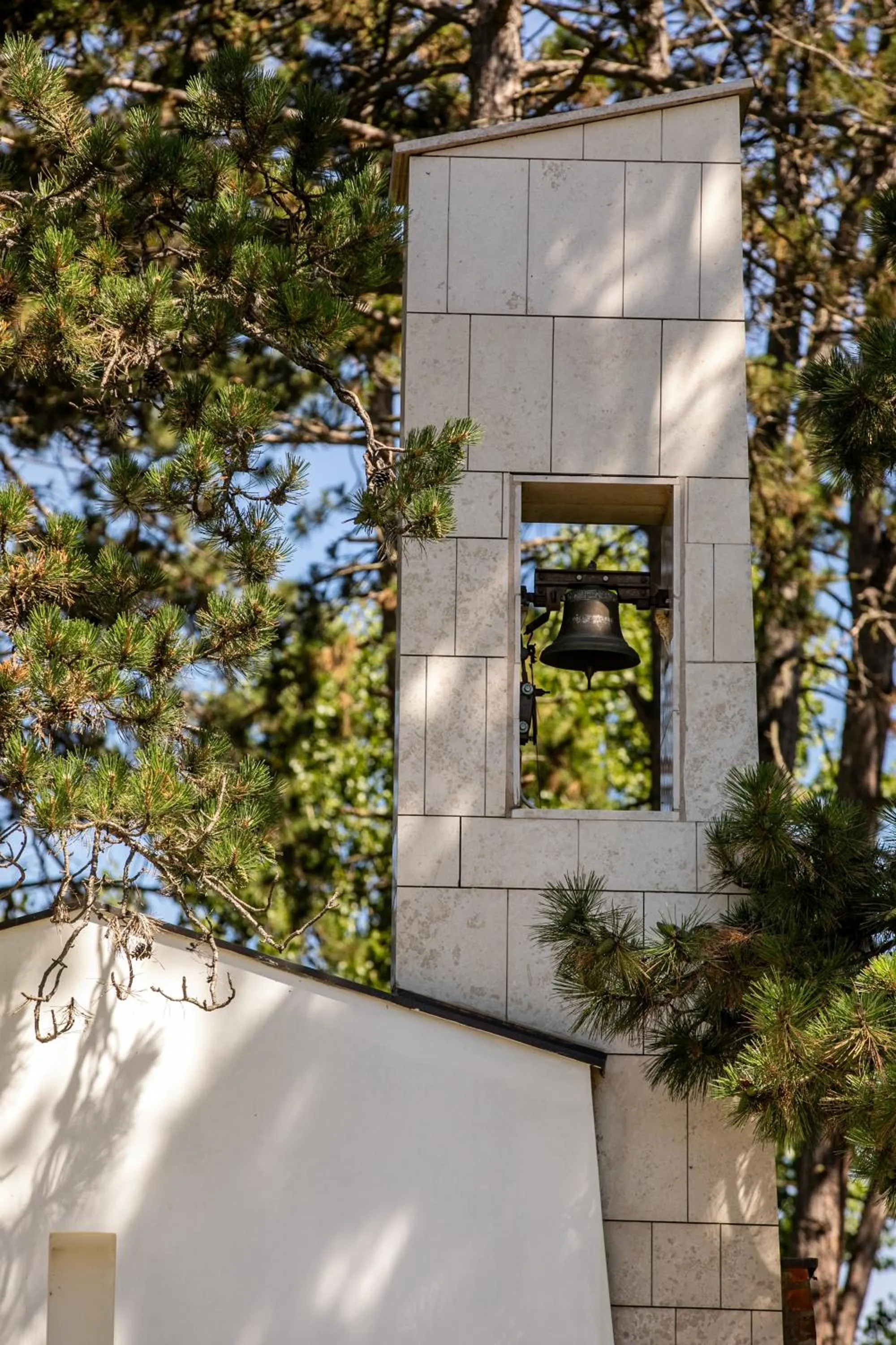 Garden in Hotel Golden Palace
