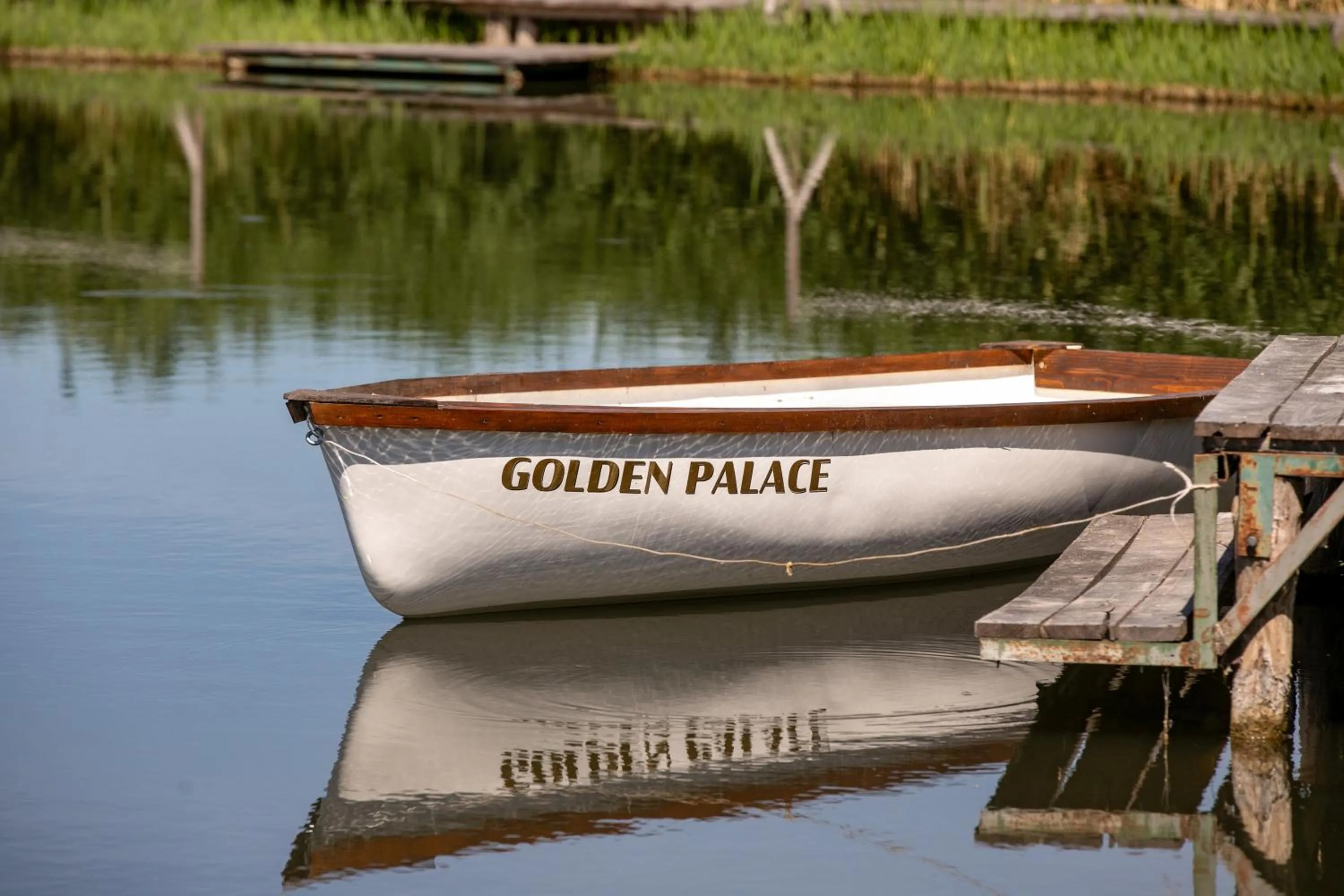Natural landscape in Hotel Golden Palace