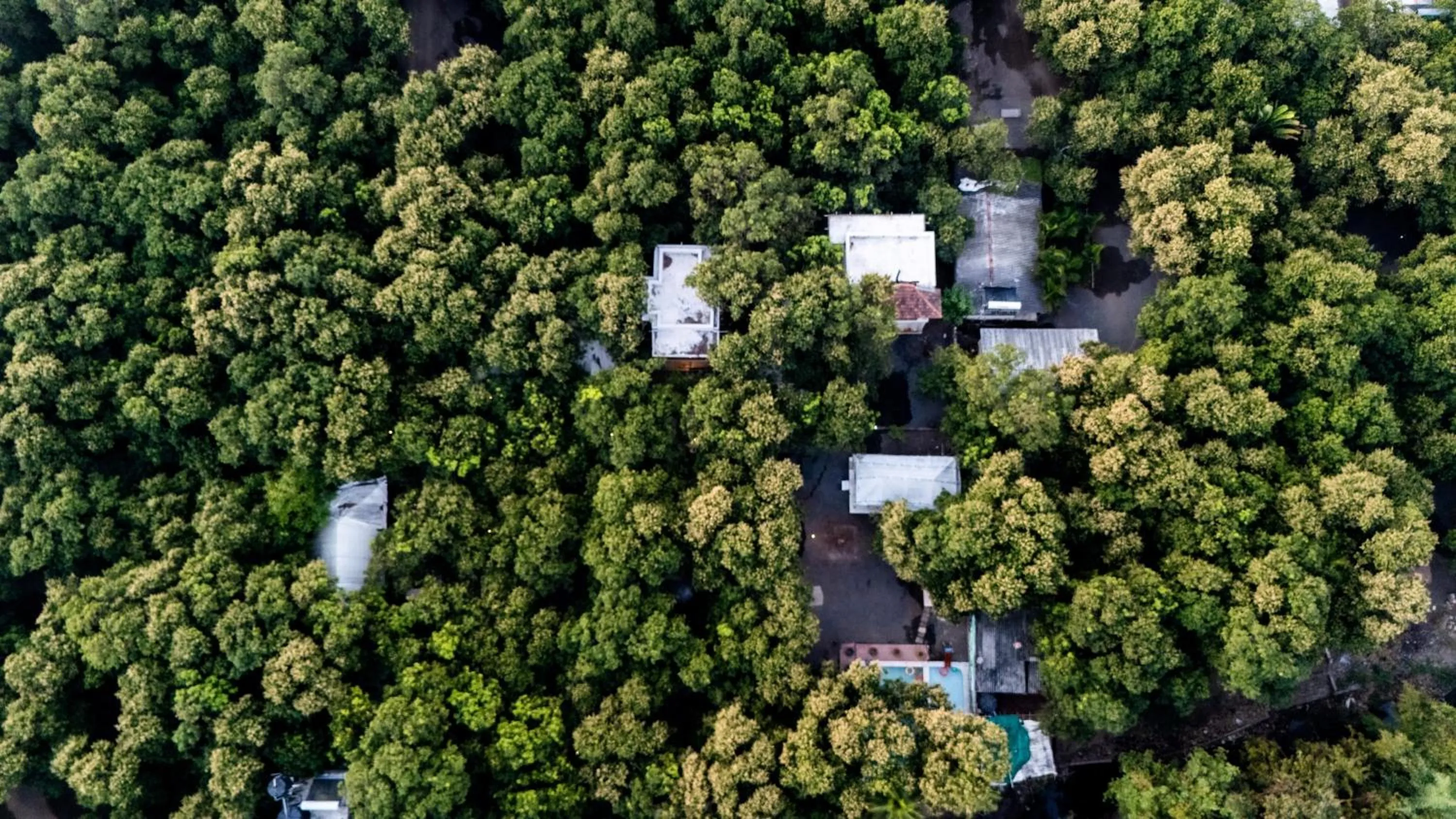 Property building in Brook Ville