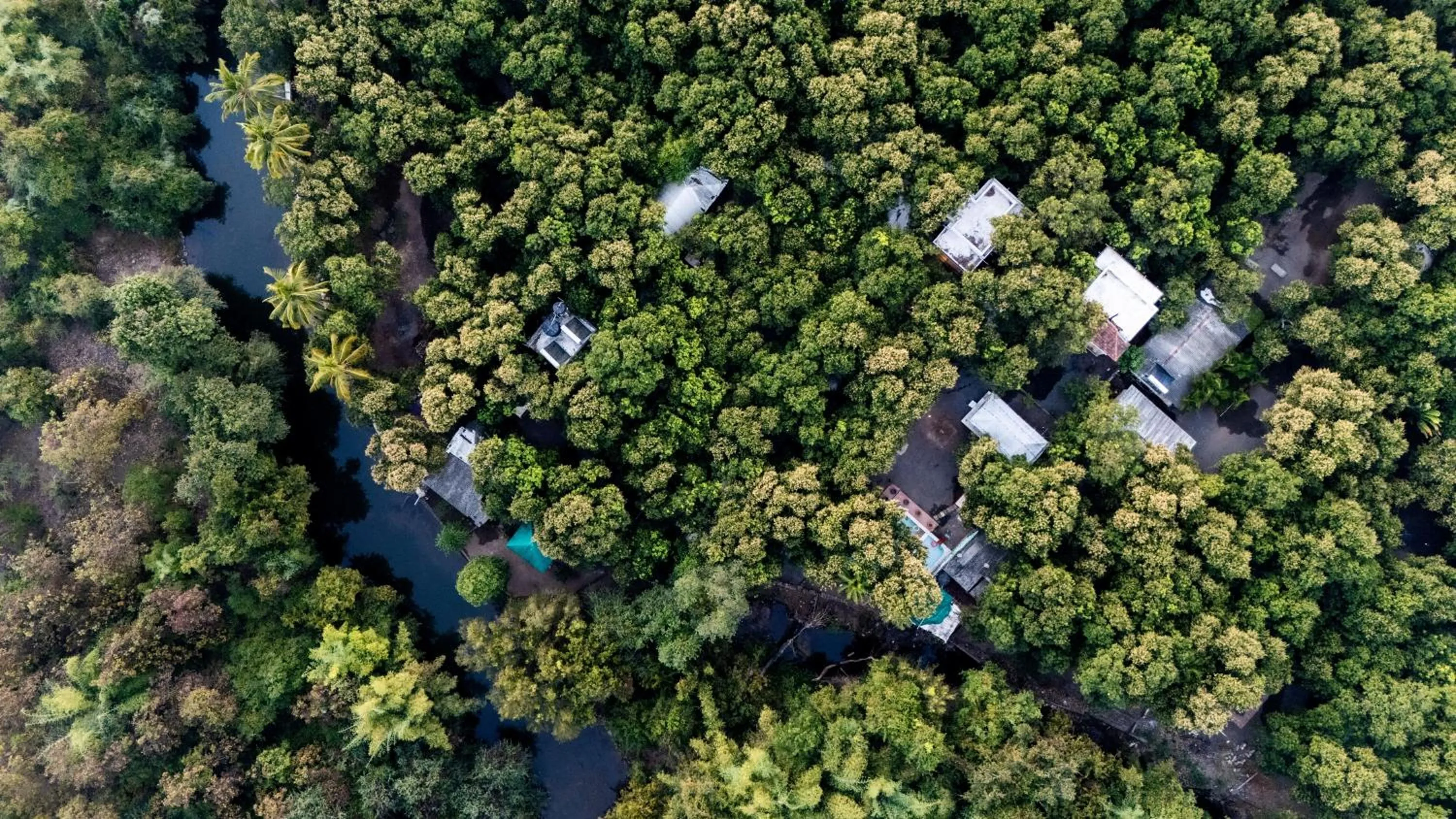 Natural landscape in Brook Ville