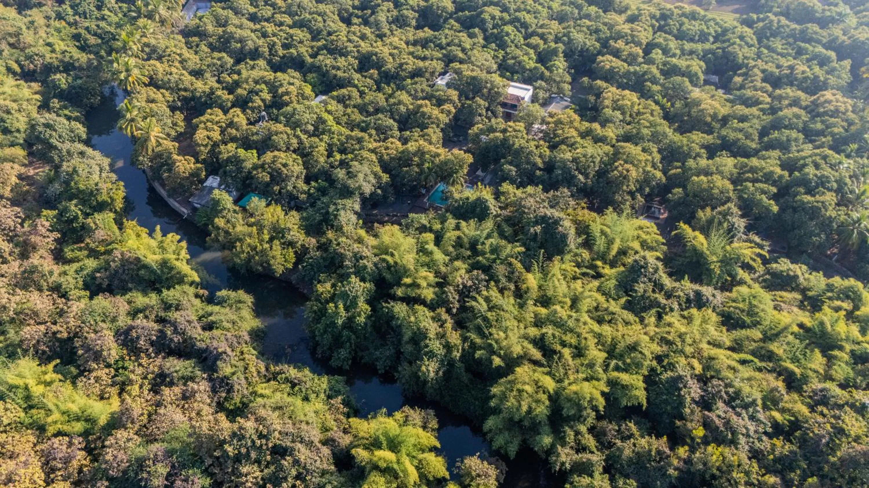 Spring in Brook Ville