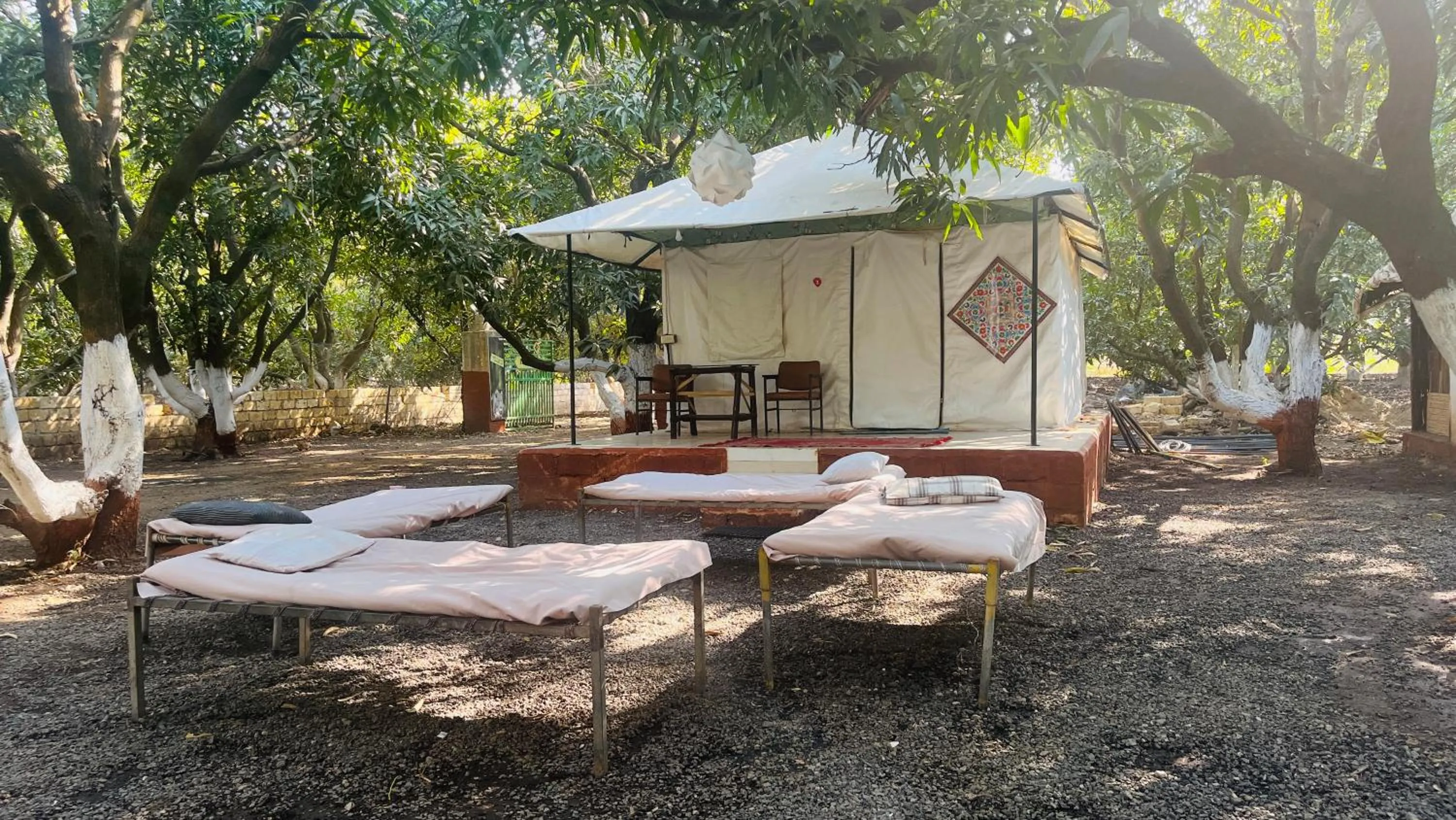 Spring in Brook Ville