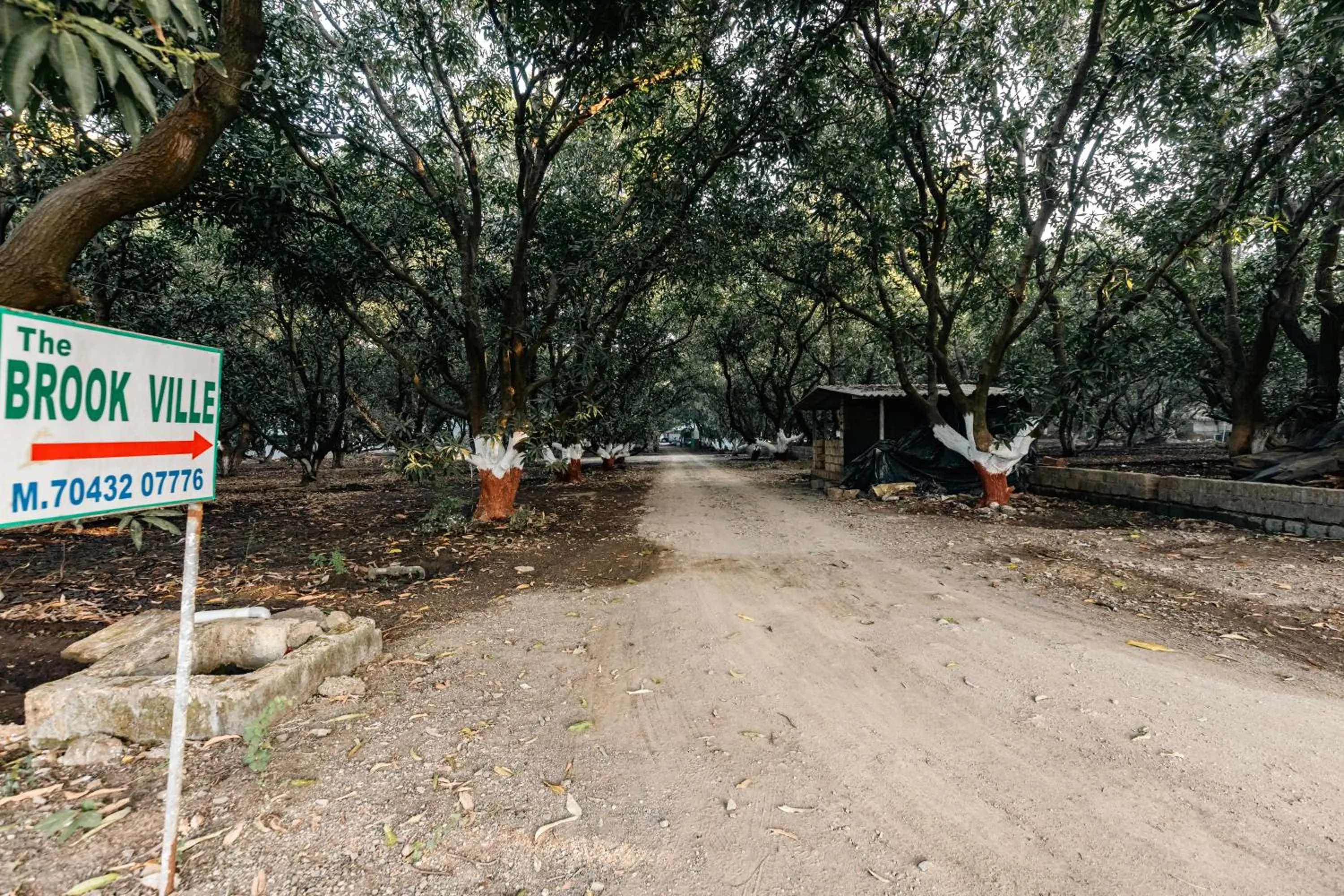 Natural landscape in Brook Ville