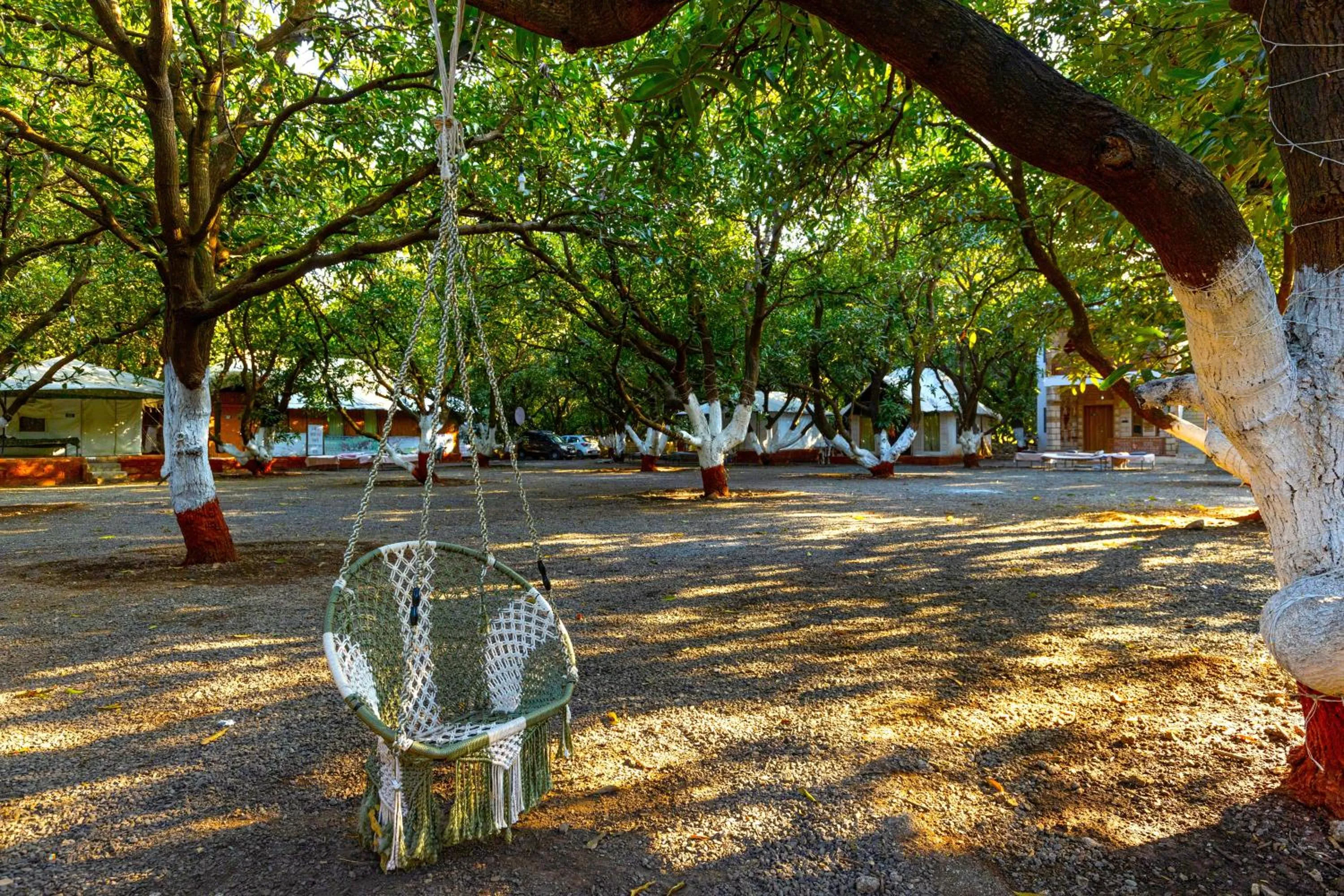Garden in Brook Ville
