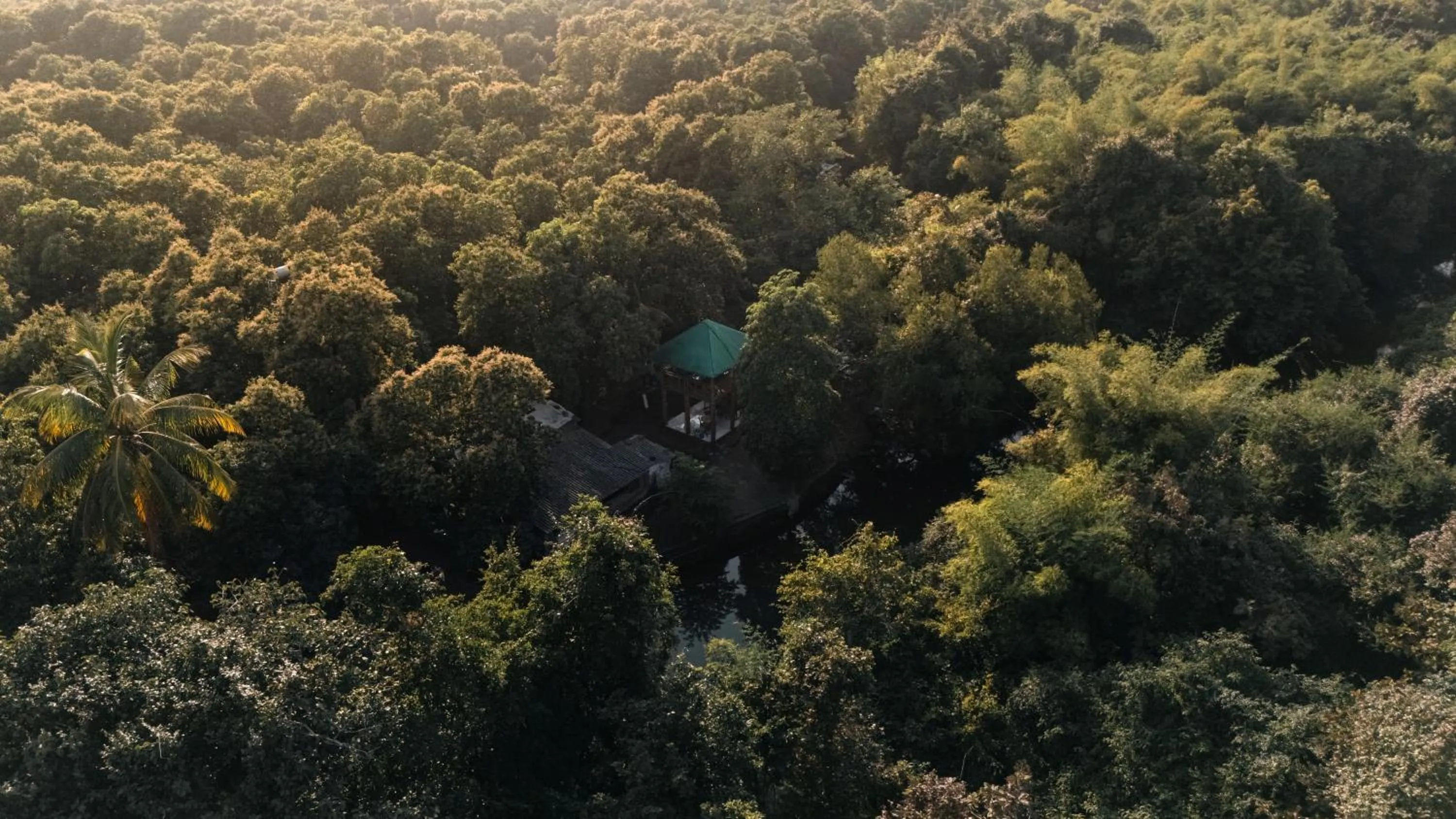 Natural landscape in Brook Ville