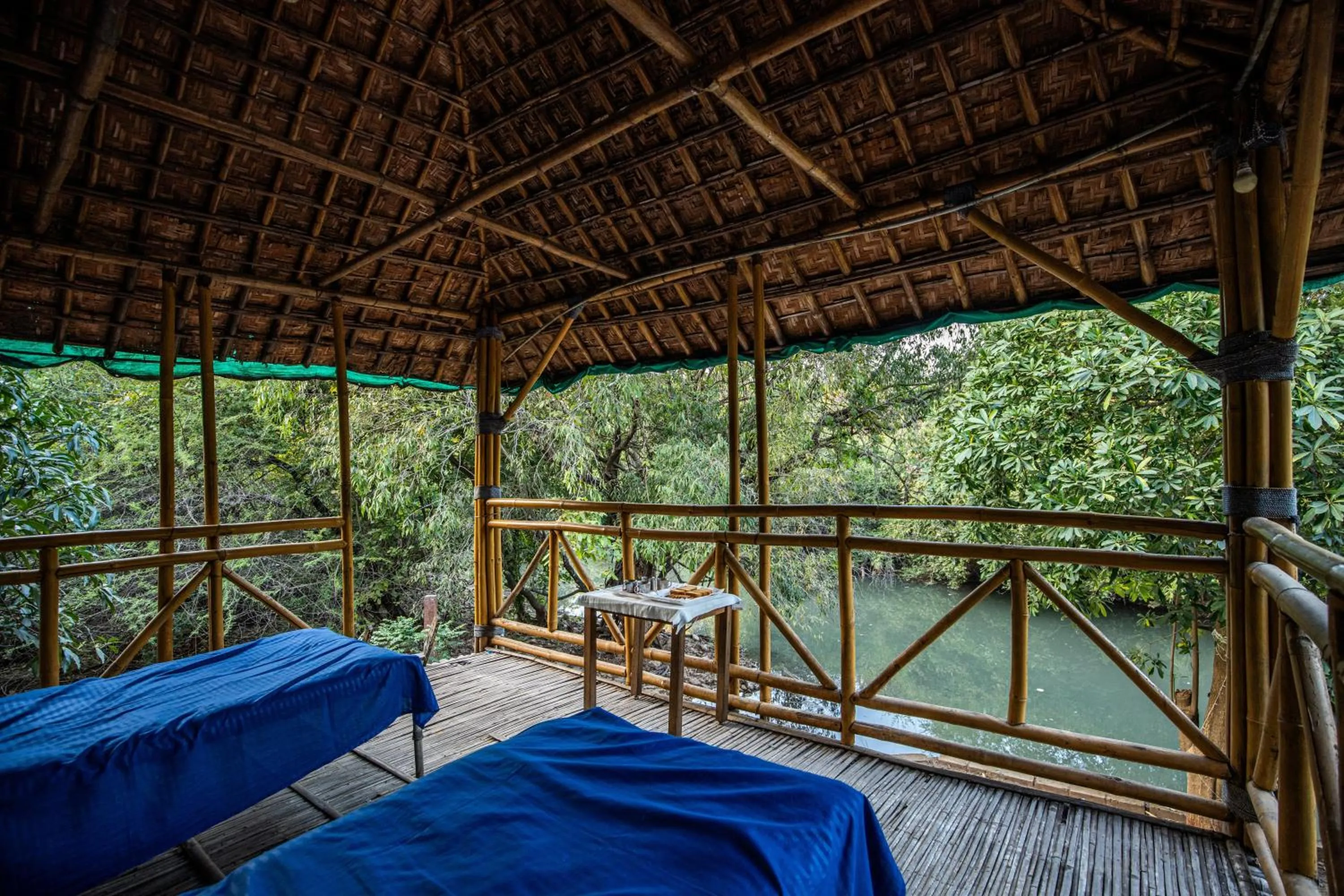 Natural landscape, Bed in Brook Ville