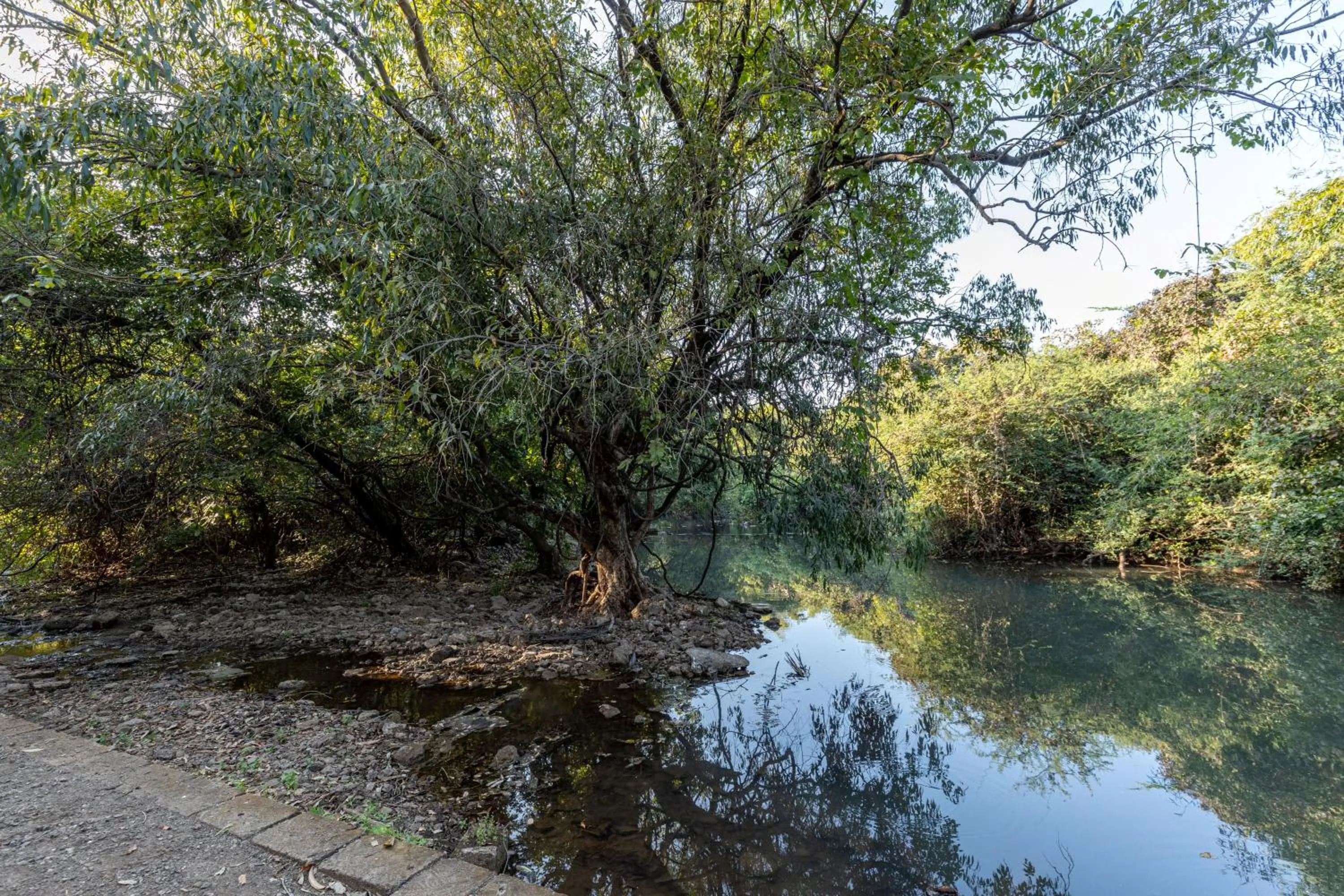 Spring in Brook Ville