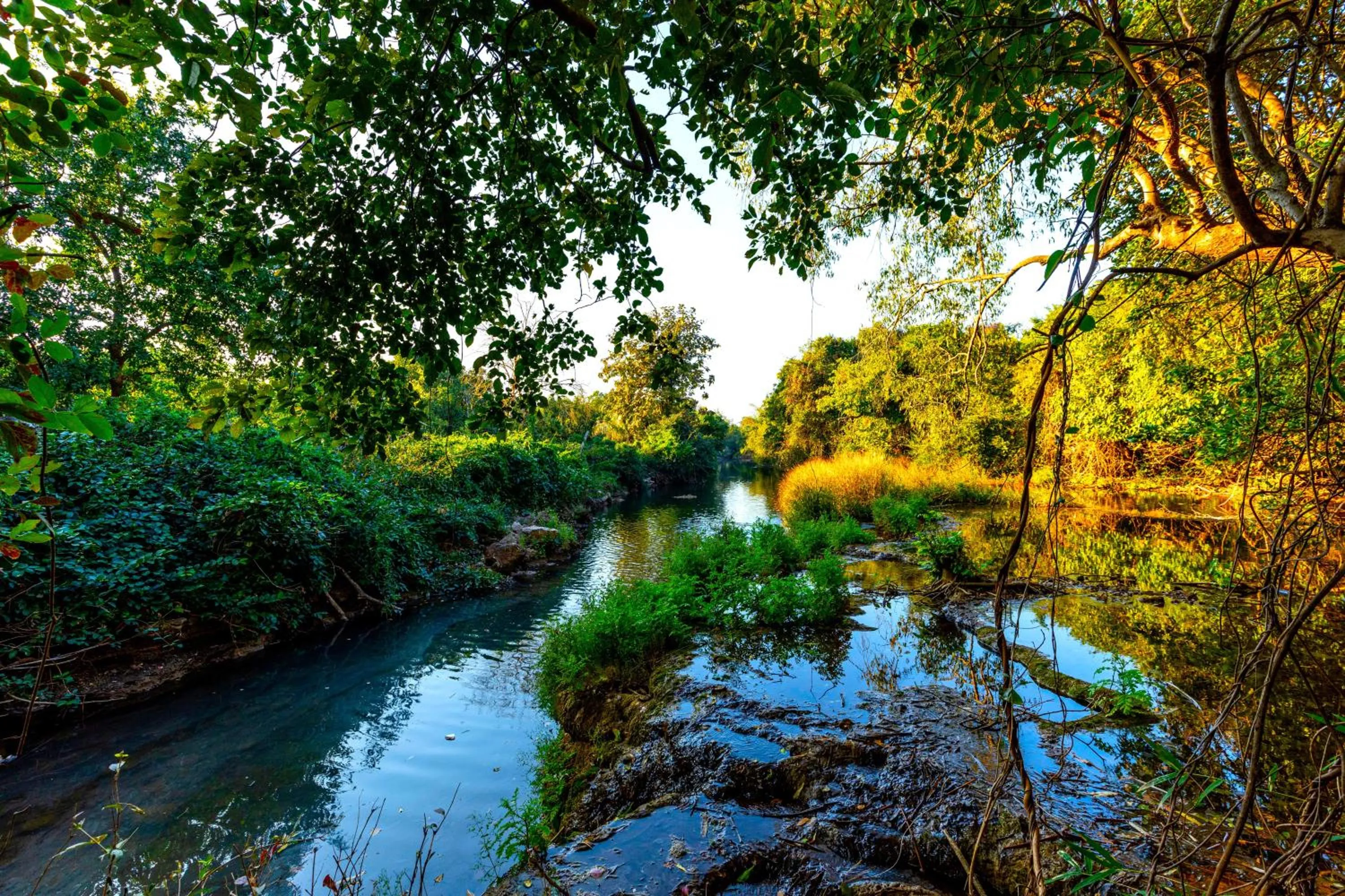 Lake view in Brook Ville