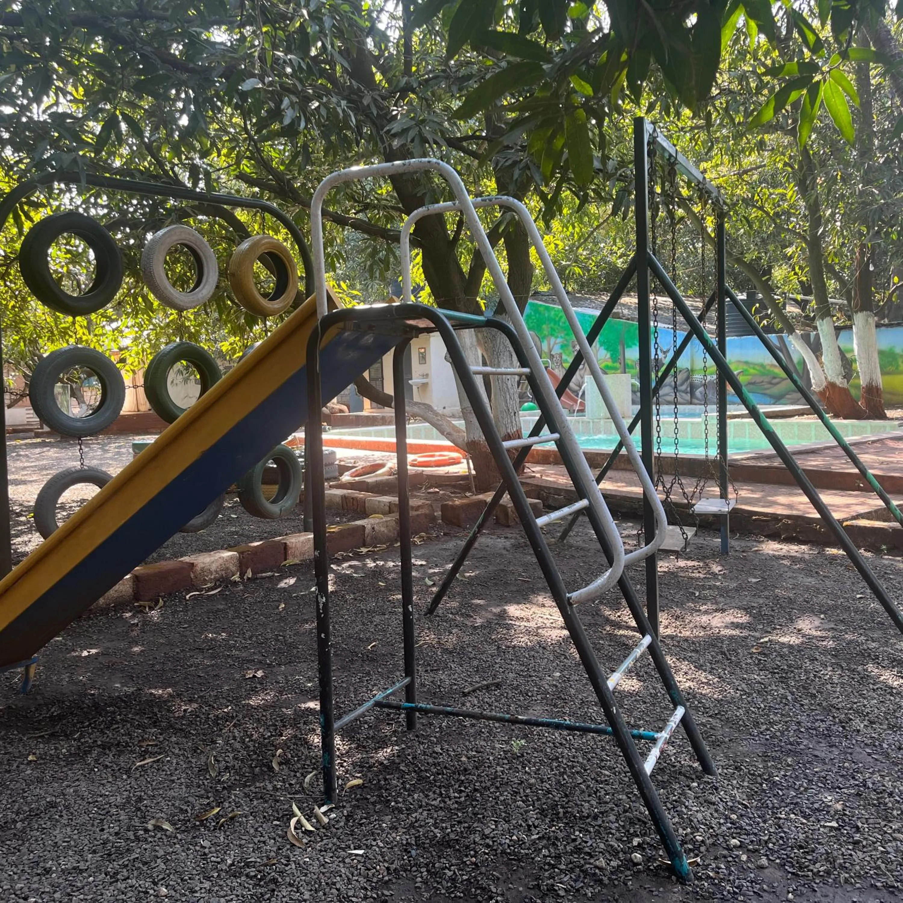 Natural landscape in Brook Ville