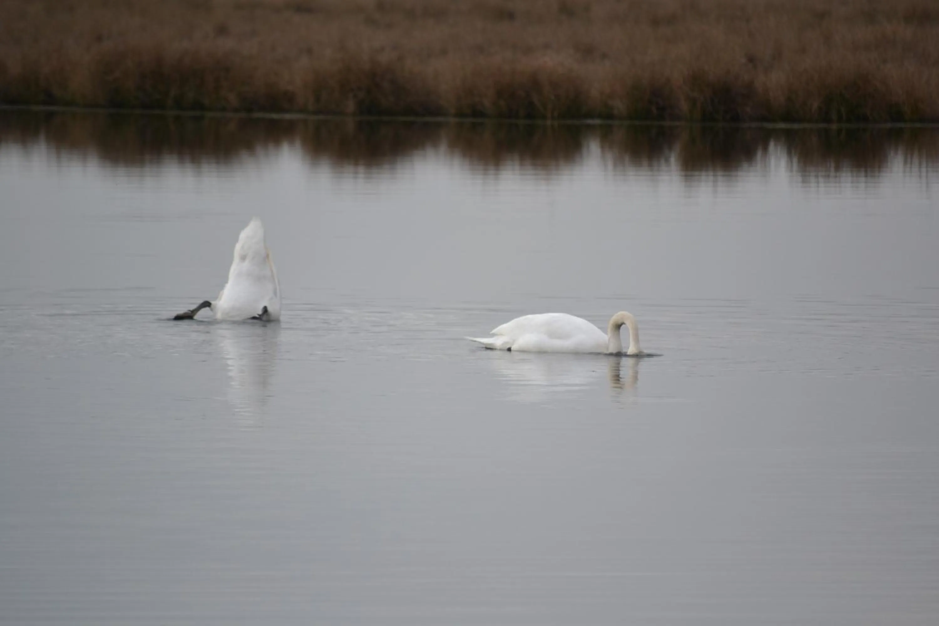 Other in Auberge De Moerse Hoeve