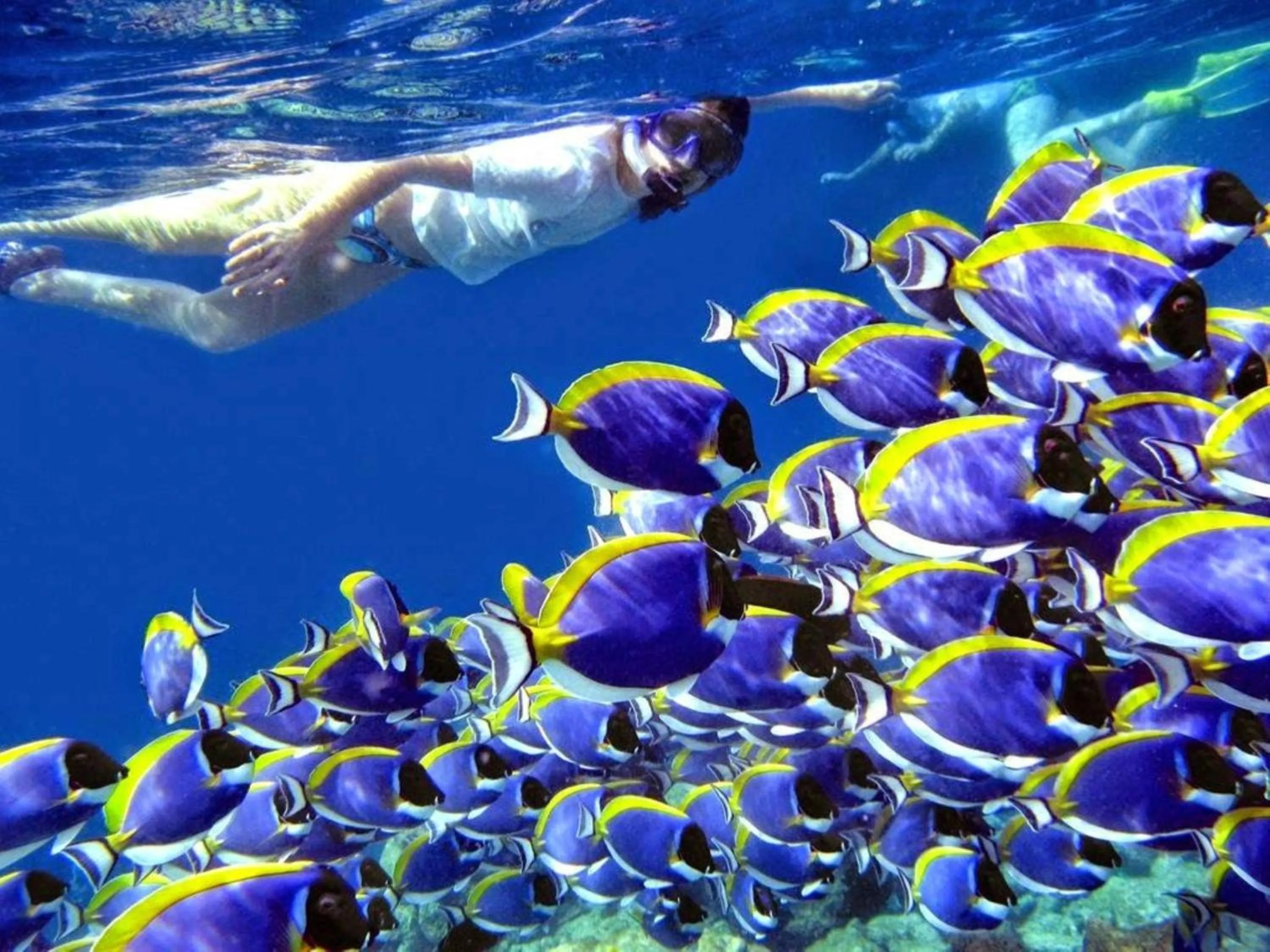 People in Madi Grand Maldives