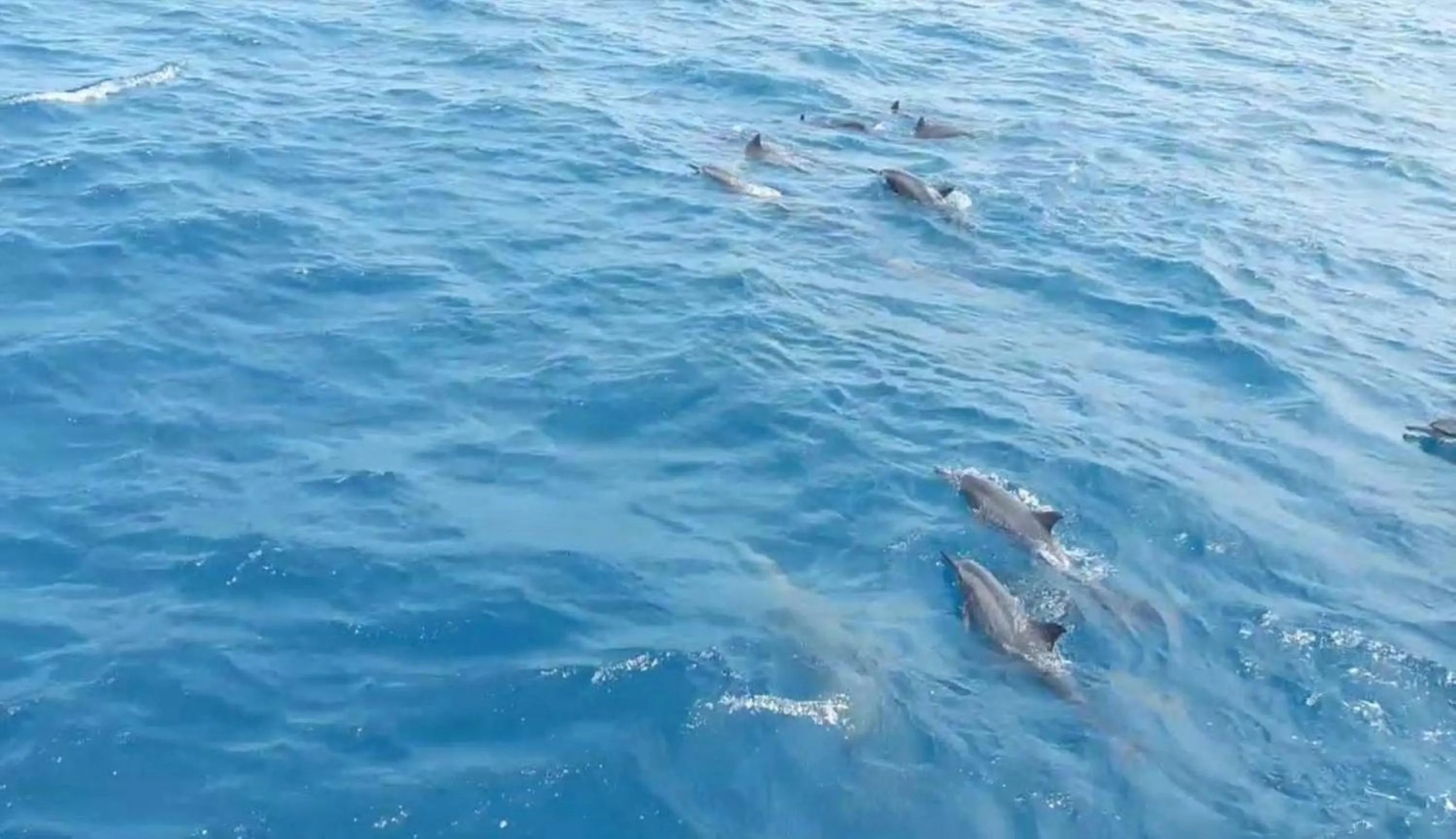 Natural landscape in Madi Grand Maldives