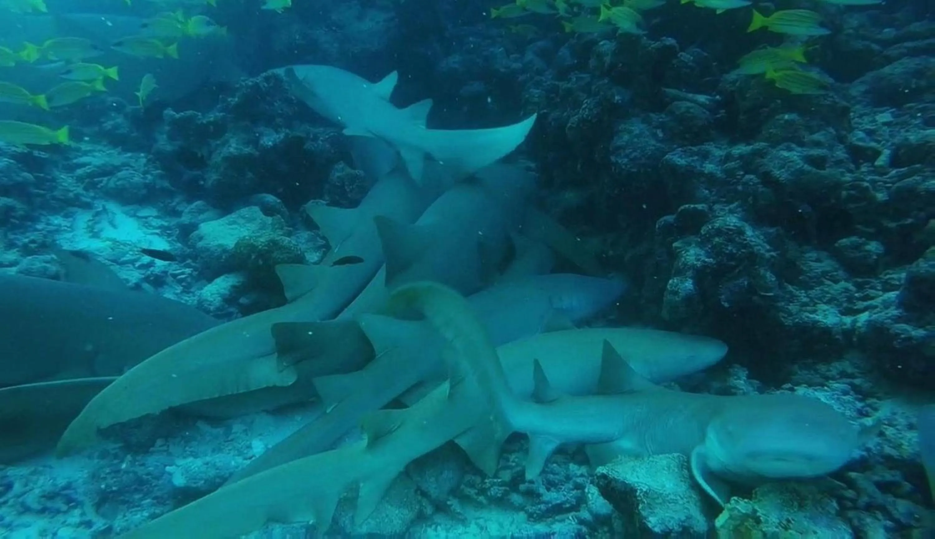 Natural landscape in Madi Grand Maldives