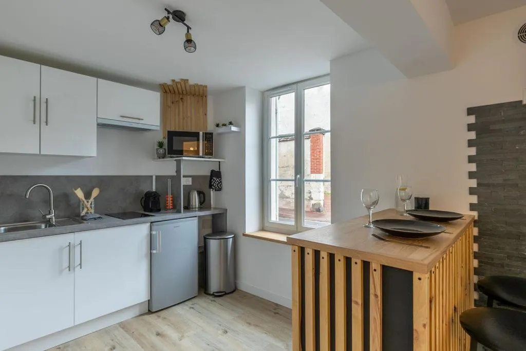 Kitchen or kitchenette in L'Appart des Platanes