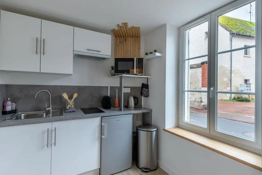 Kitchen or kitchenette in L'Appart des Platanes