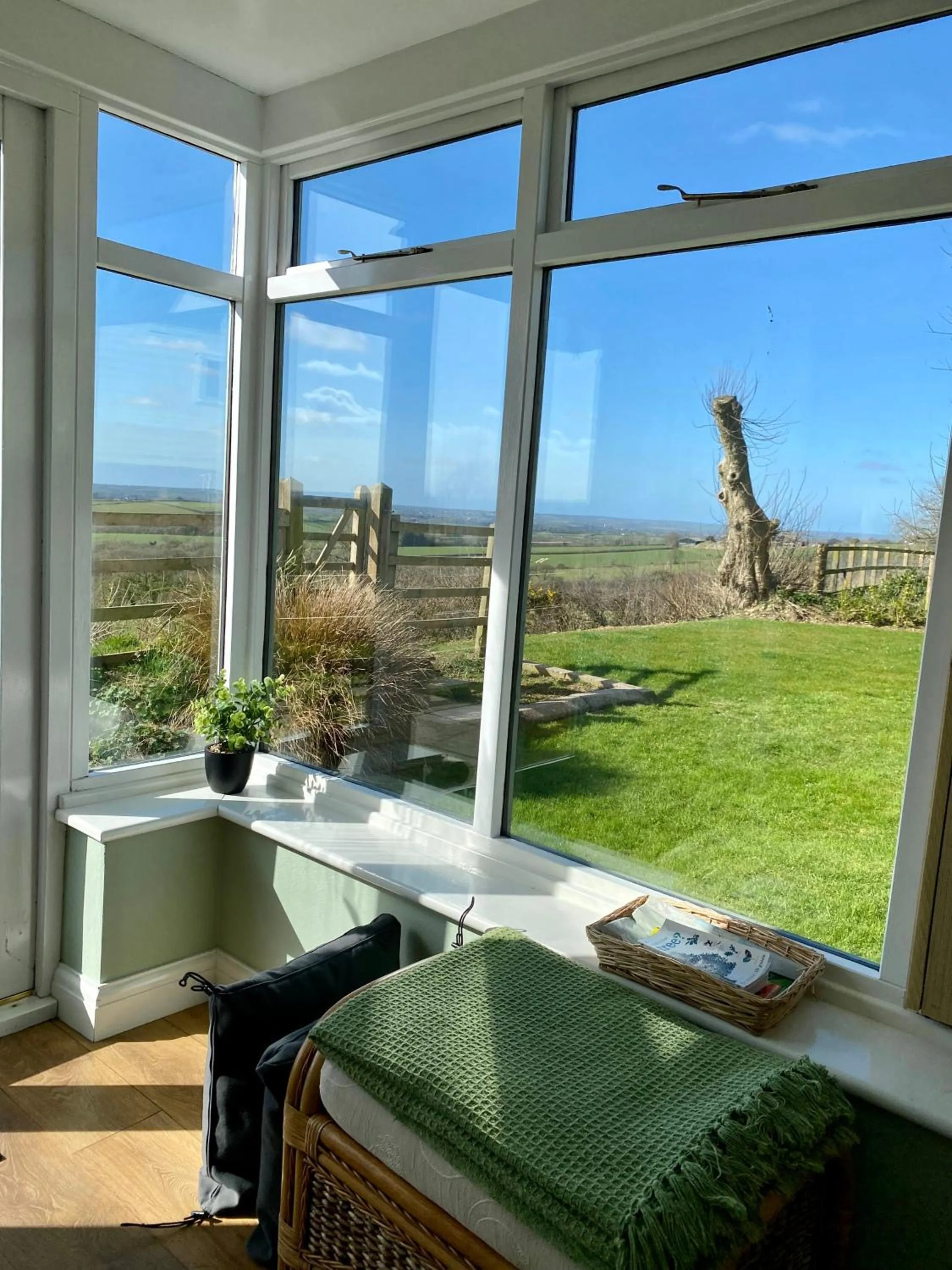 Meadow View