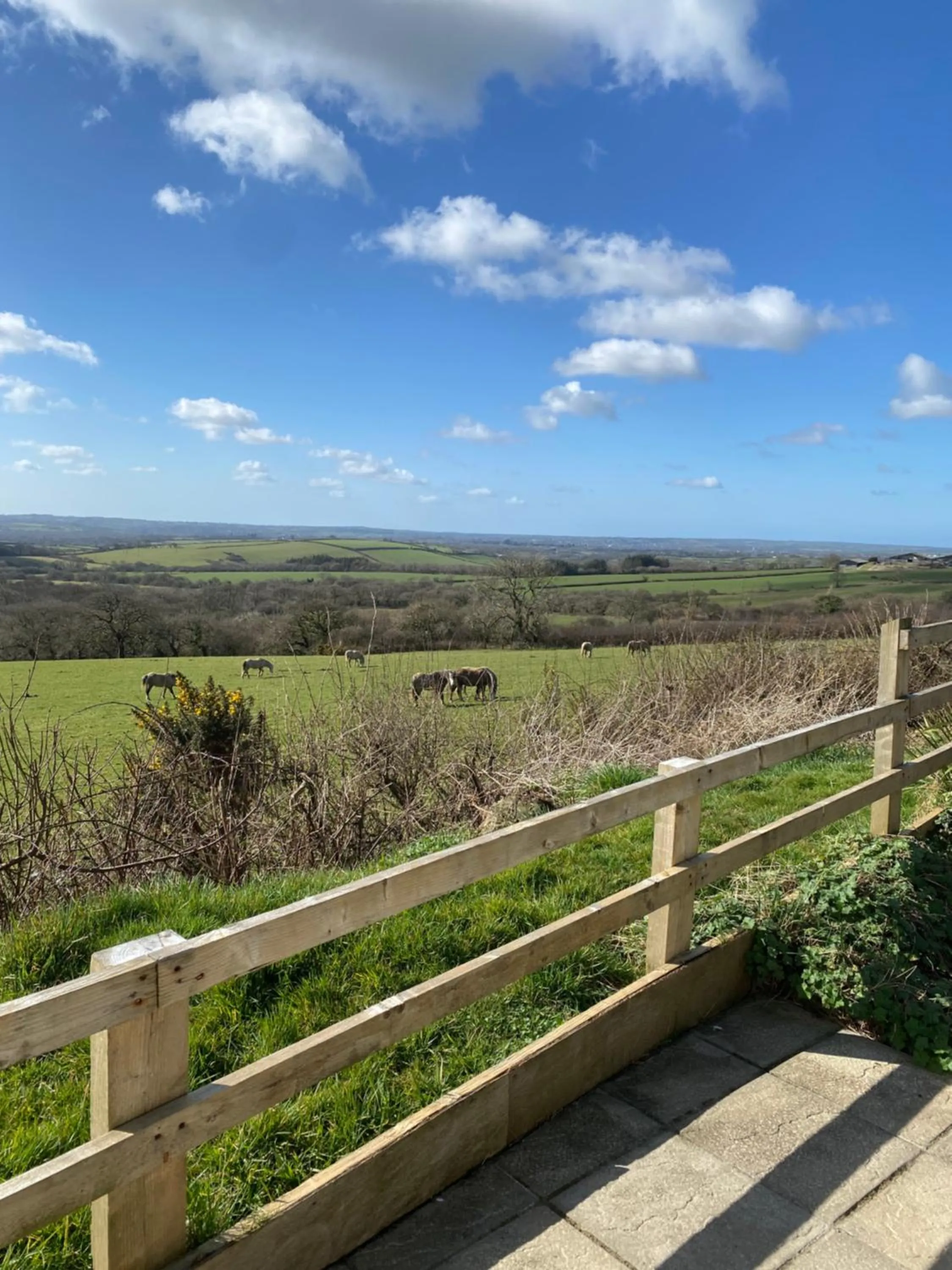 Meadow View