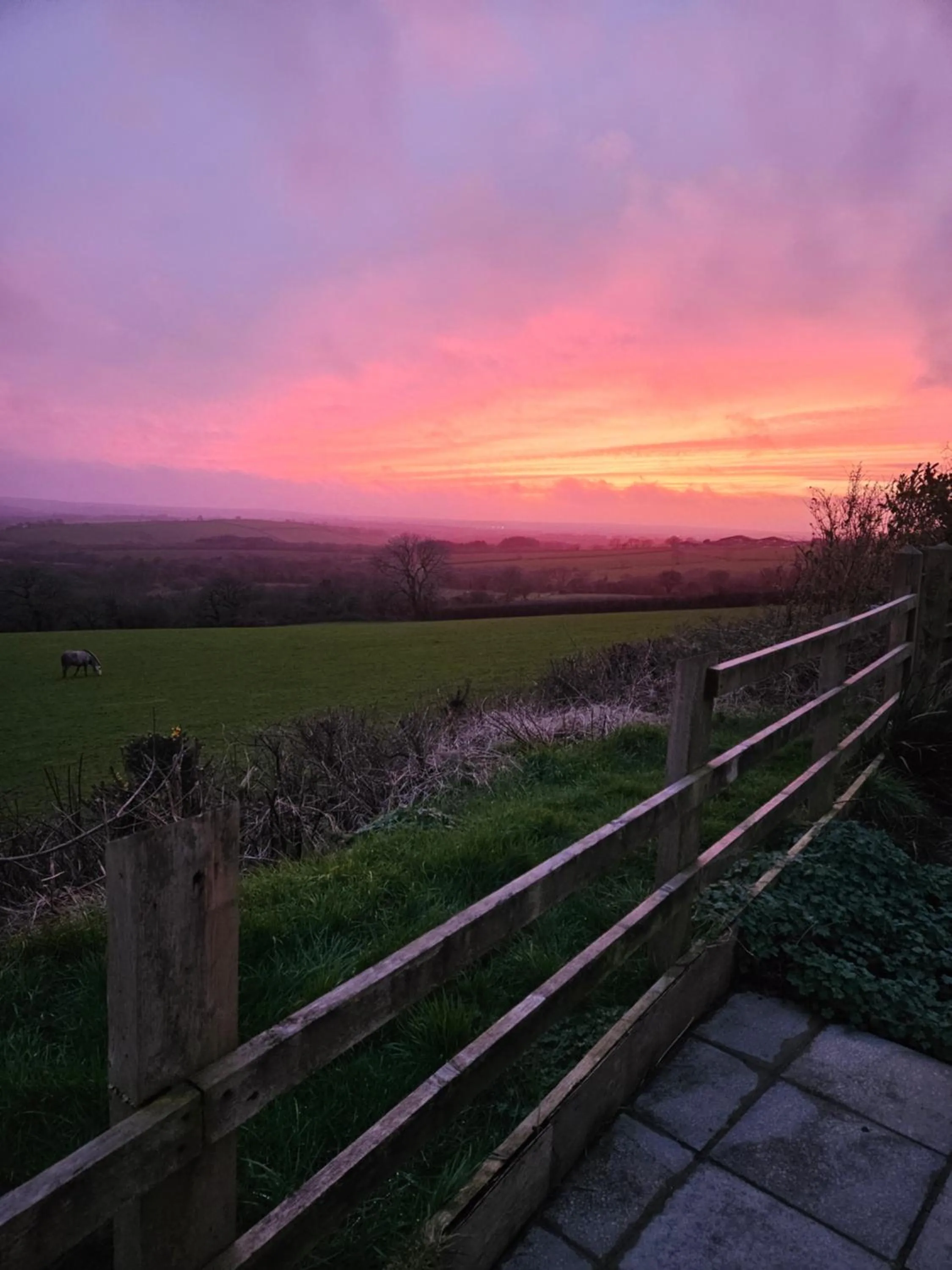 Meadow View