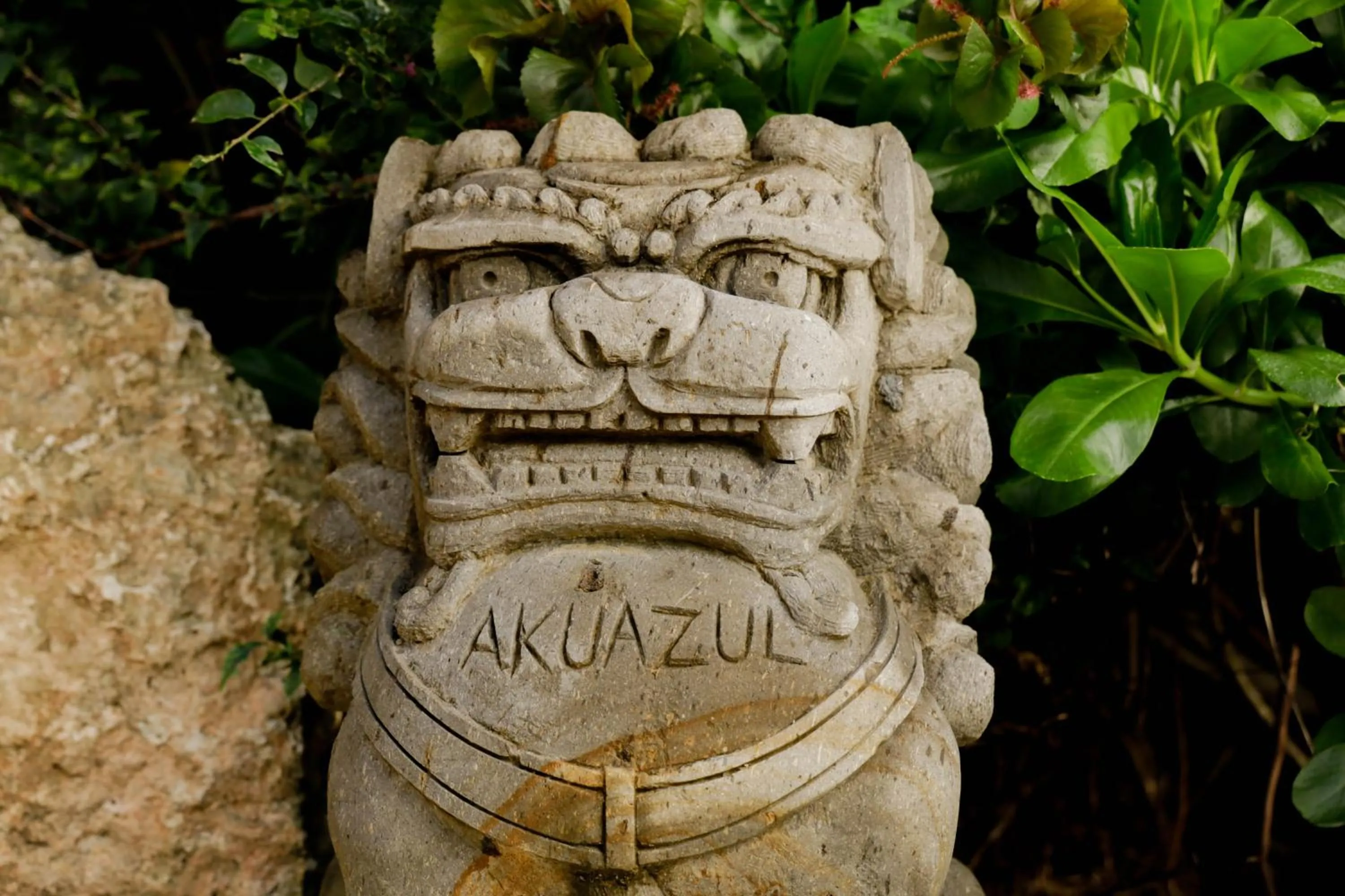 Natural landscape in Akuazul Resorts Adults Only