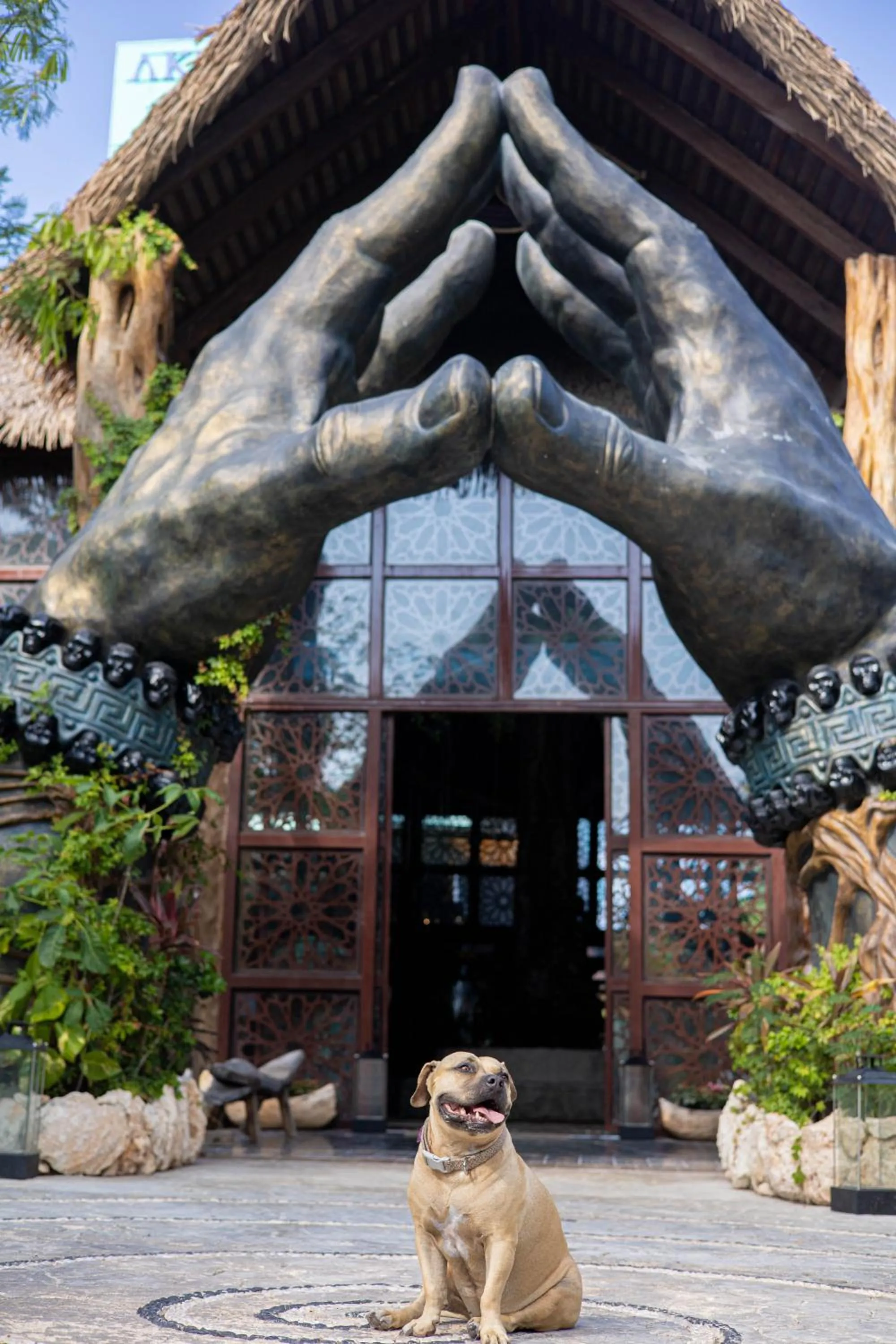 Pets in Akuazul Resorts Adults Only