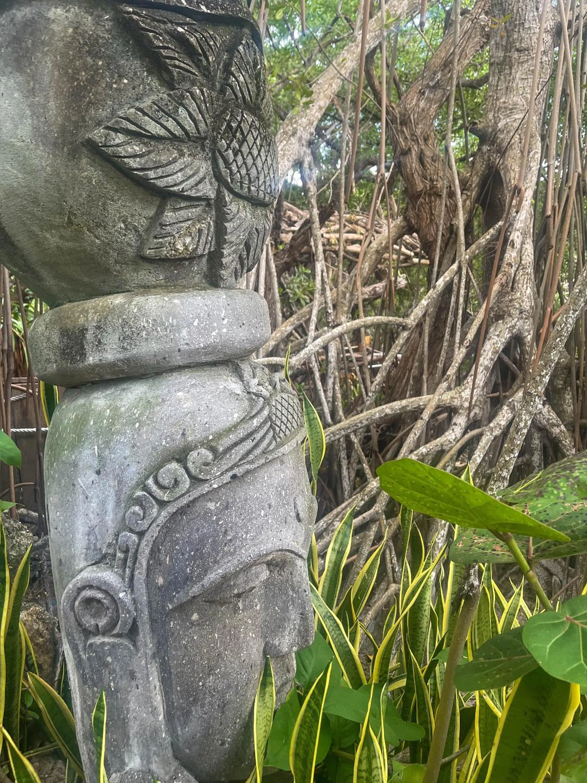 Day in Akuazul Resorts Adults Only