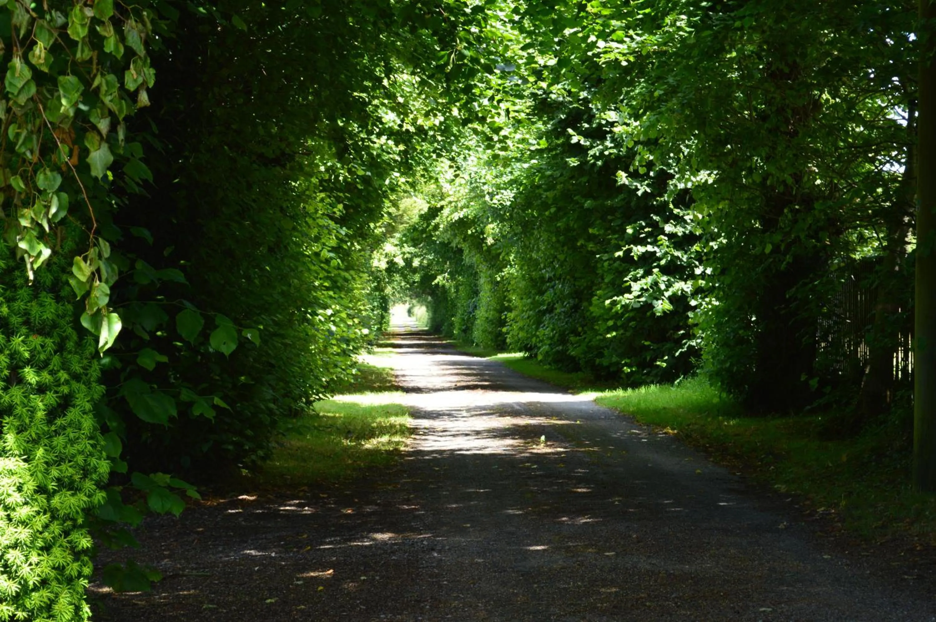 Day in The Grange Court Hotel
