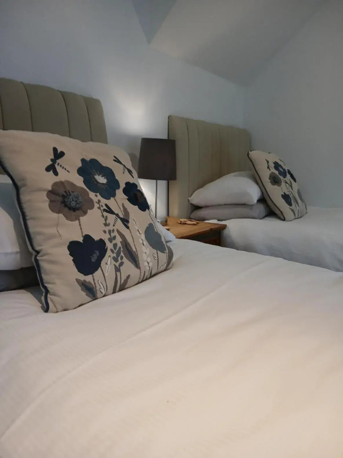 Standard Twin Room in The Downe Arms Inn Standard Twin Room in The Downe Arms Inn