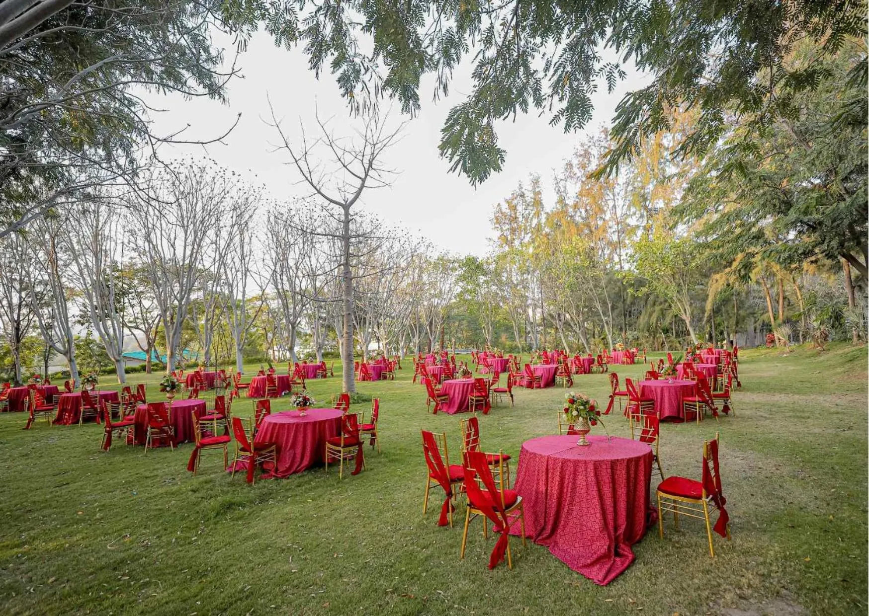 Natural landscape in Essentia Luxury Resort & Spa Udaipur