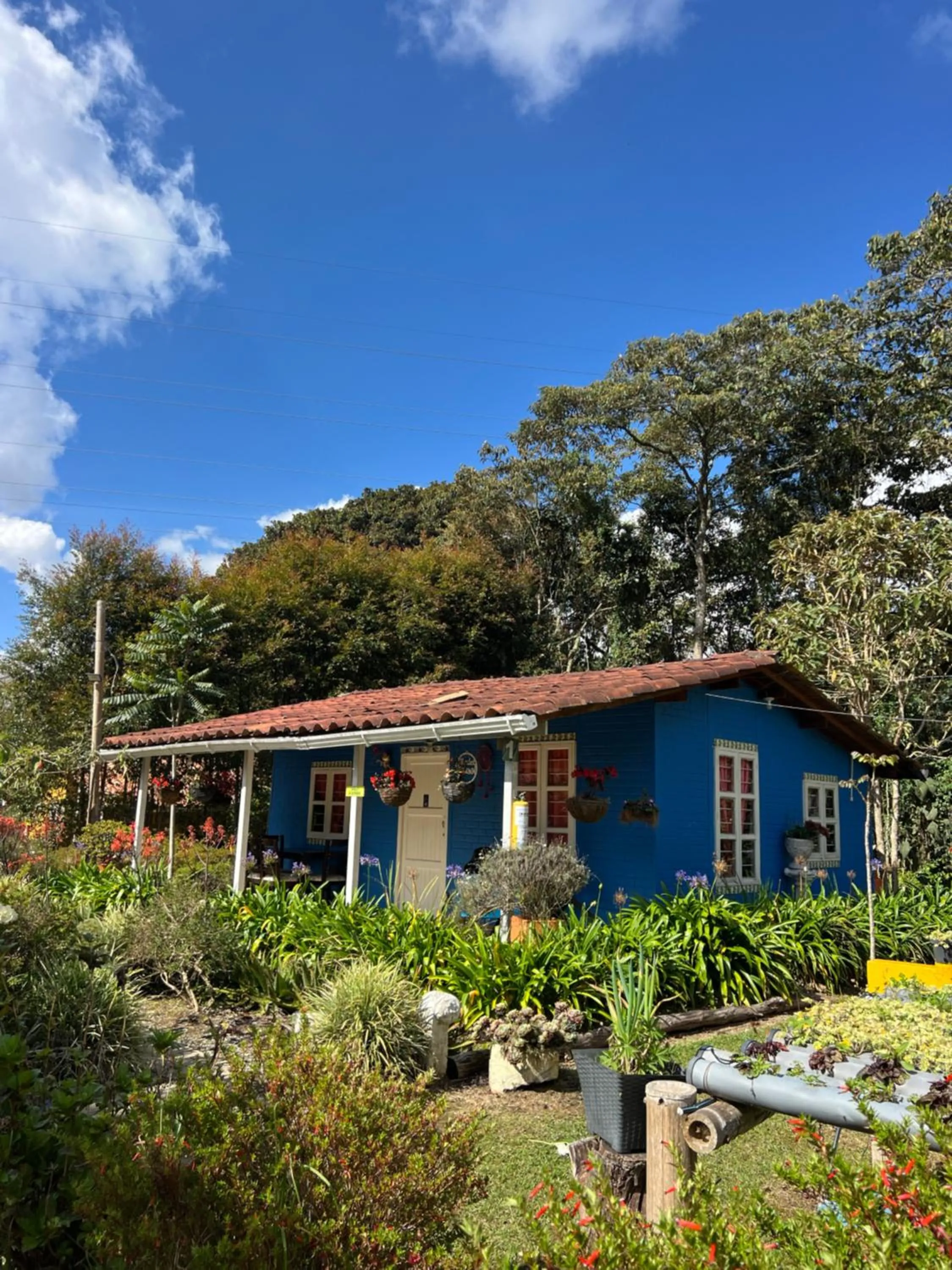 Hospedaje Santaelena -chalets de montaña-