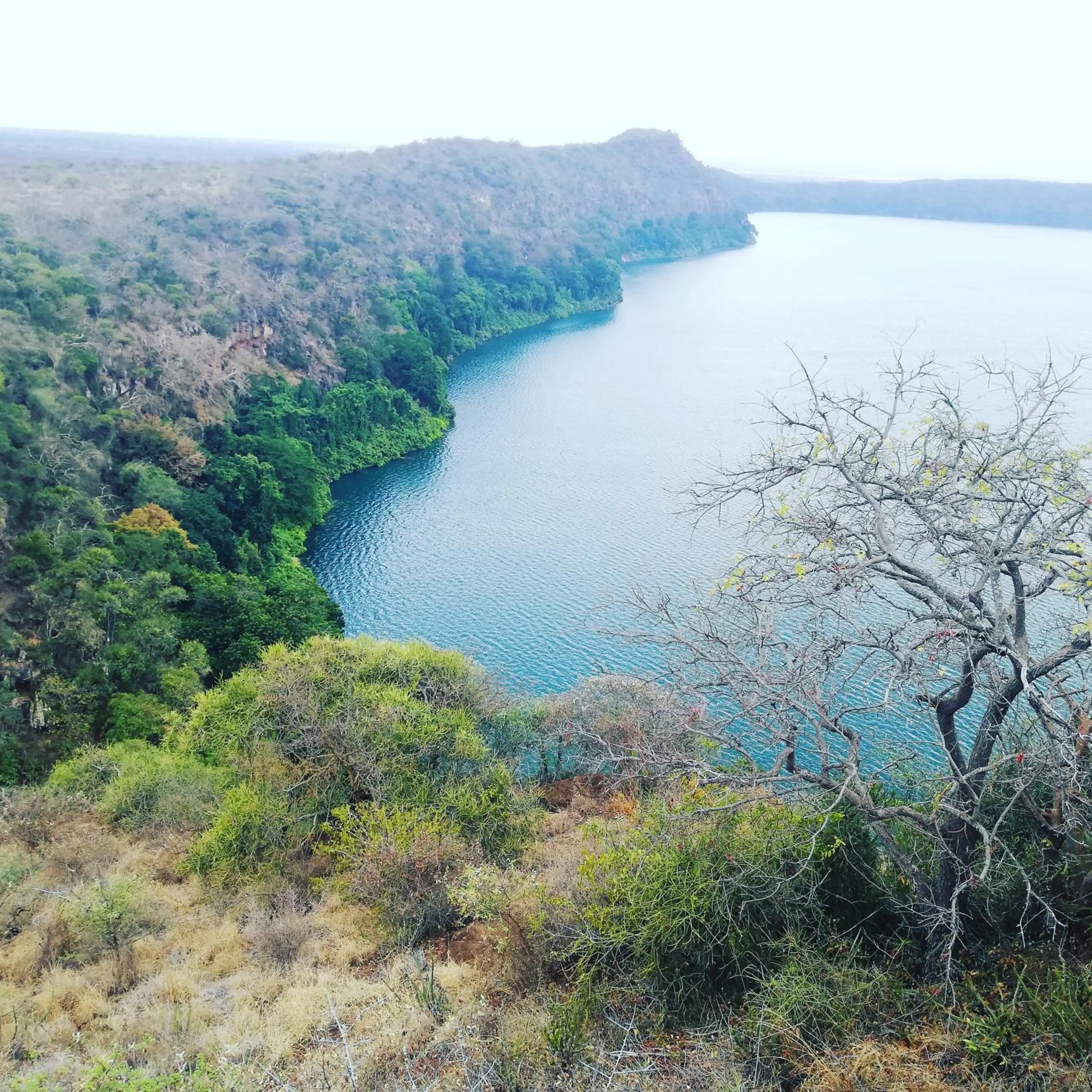 Natural landscape in Primeland Hotel