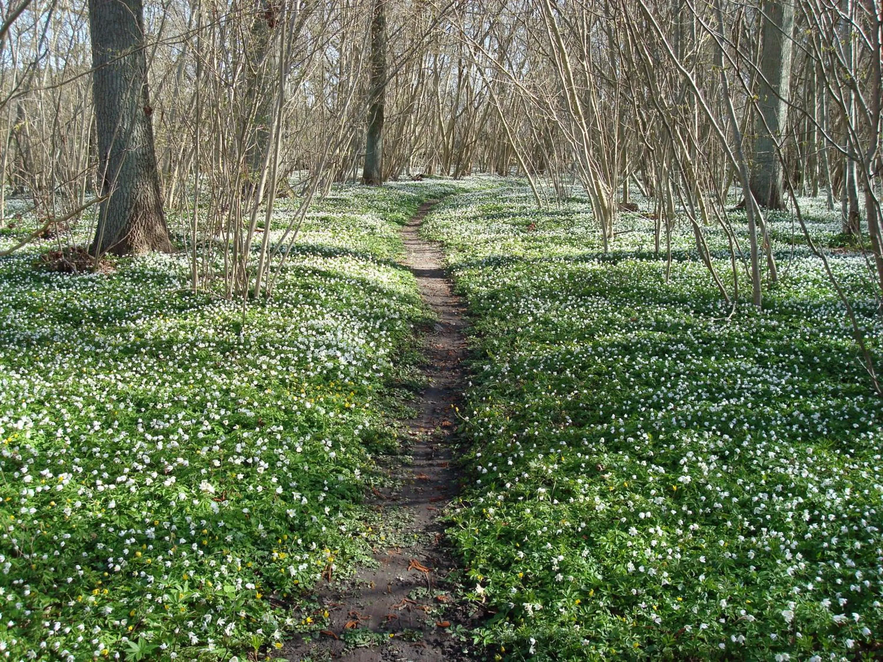 Nearby landmark in Mormors Pensionat Strandhagen