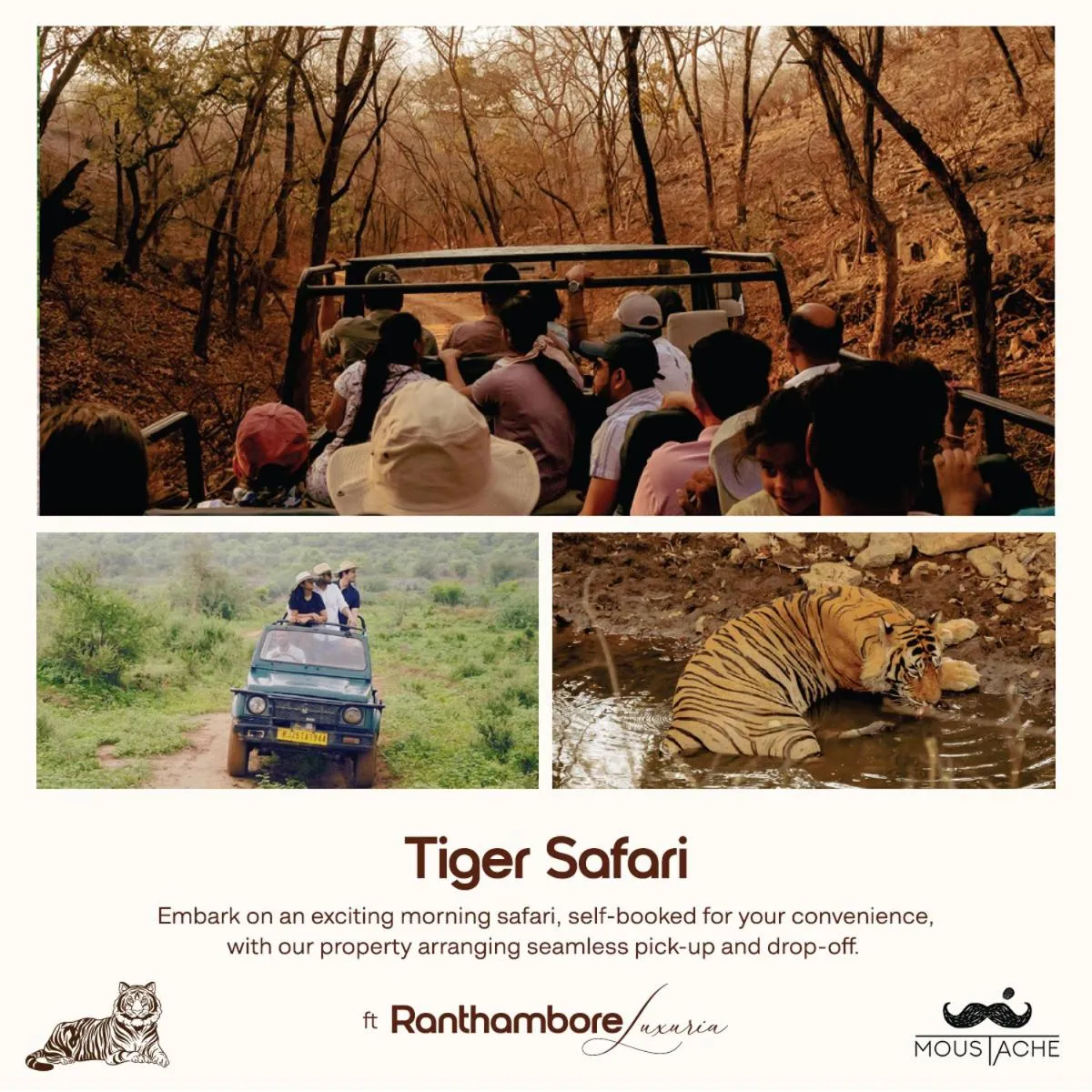 Activities in Moustache Ranthambore Luxuria