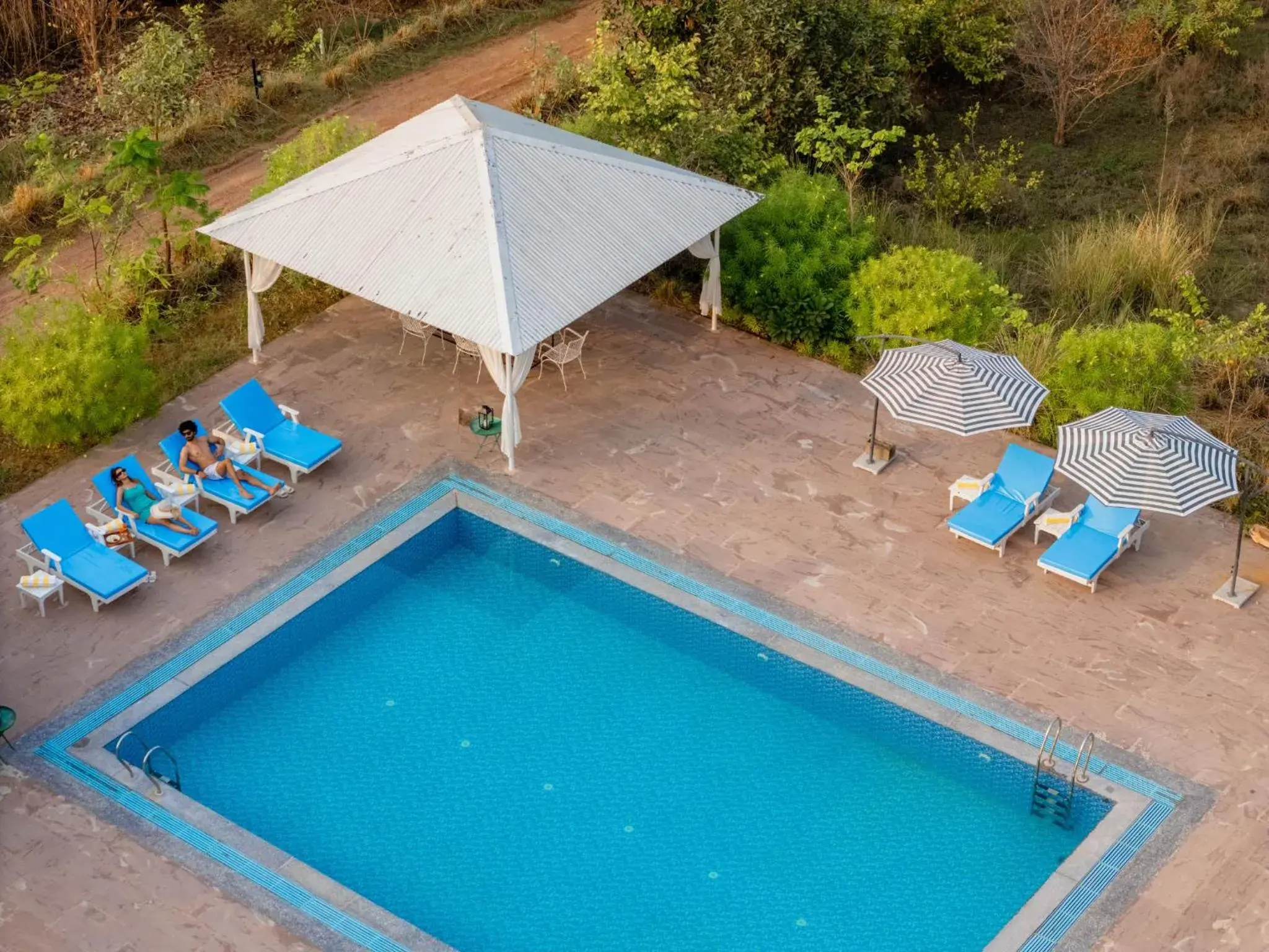 Swimming pool in Moustache Ranthambore Luxuria Swimming pool in Moustache Ranthambore Luxuria